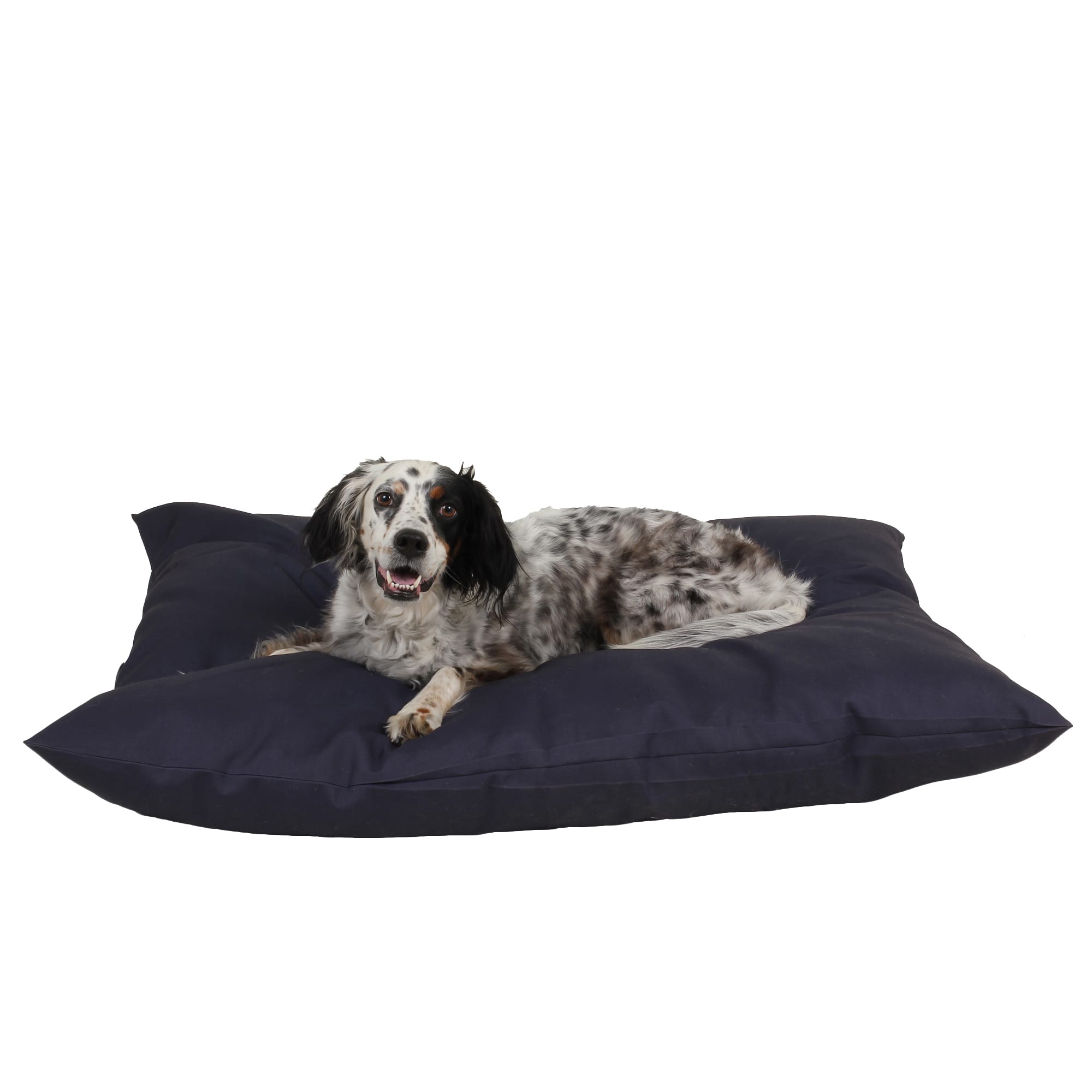 Carolina Pet Company Indoor Outdoor Shebang Dog Bed, 44 L X 35 W X 4 H, Blue, Medium