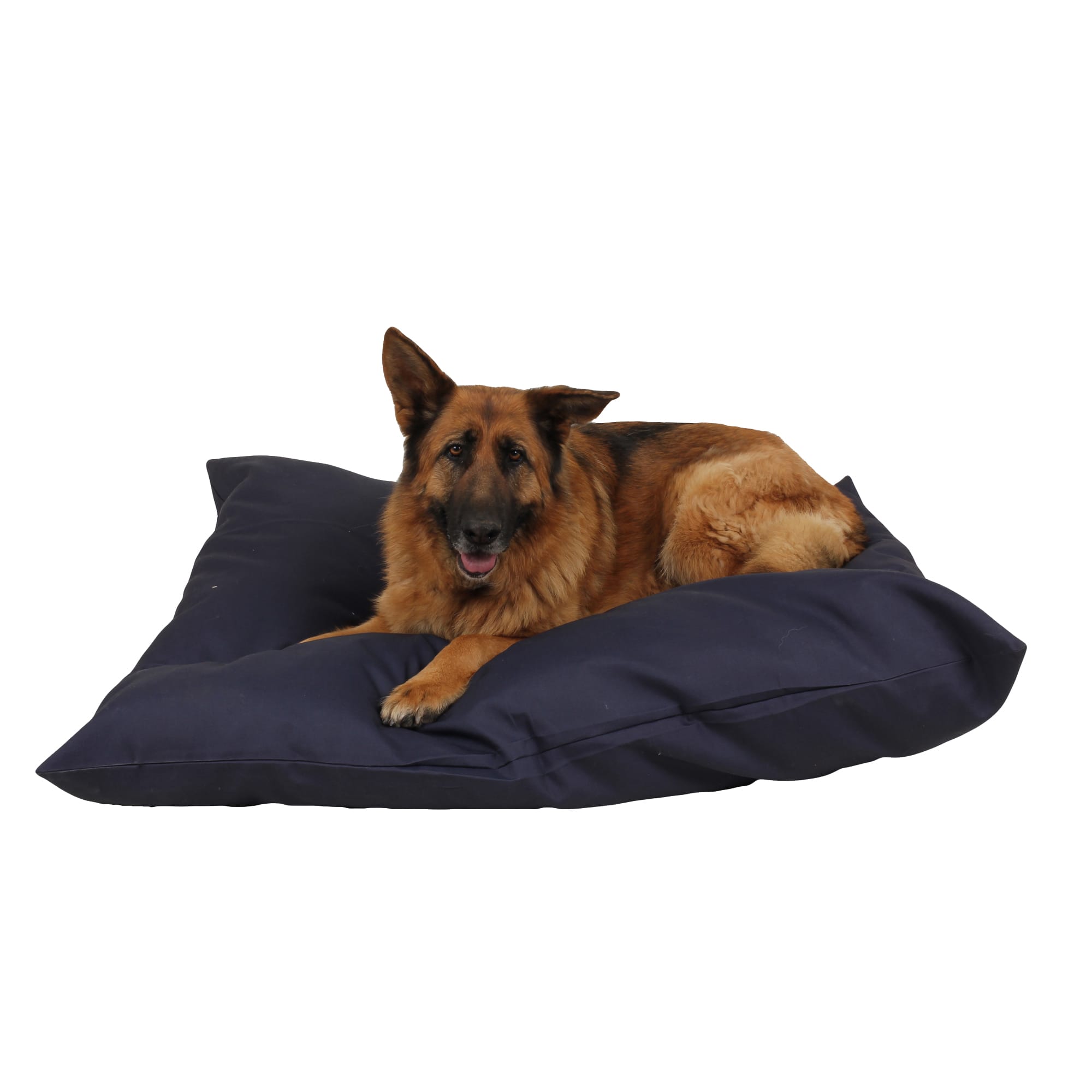 Carolina Pet Company Indoor Outdoor Shebang Dog Bed, 54 L X 44 W X 4 H, Blue, Large