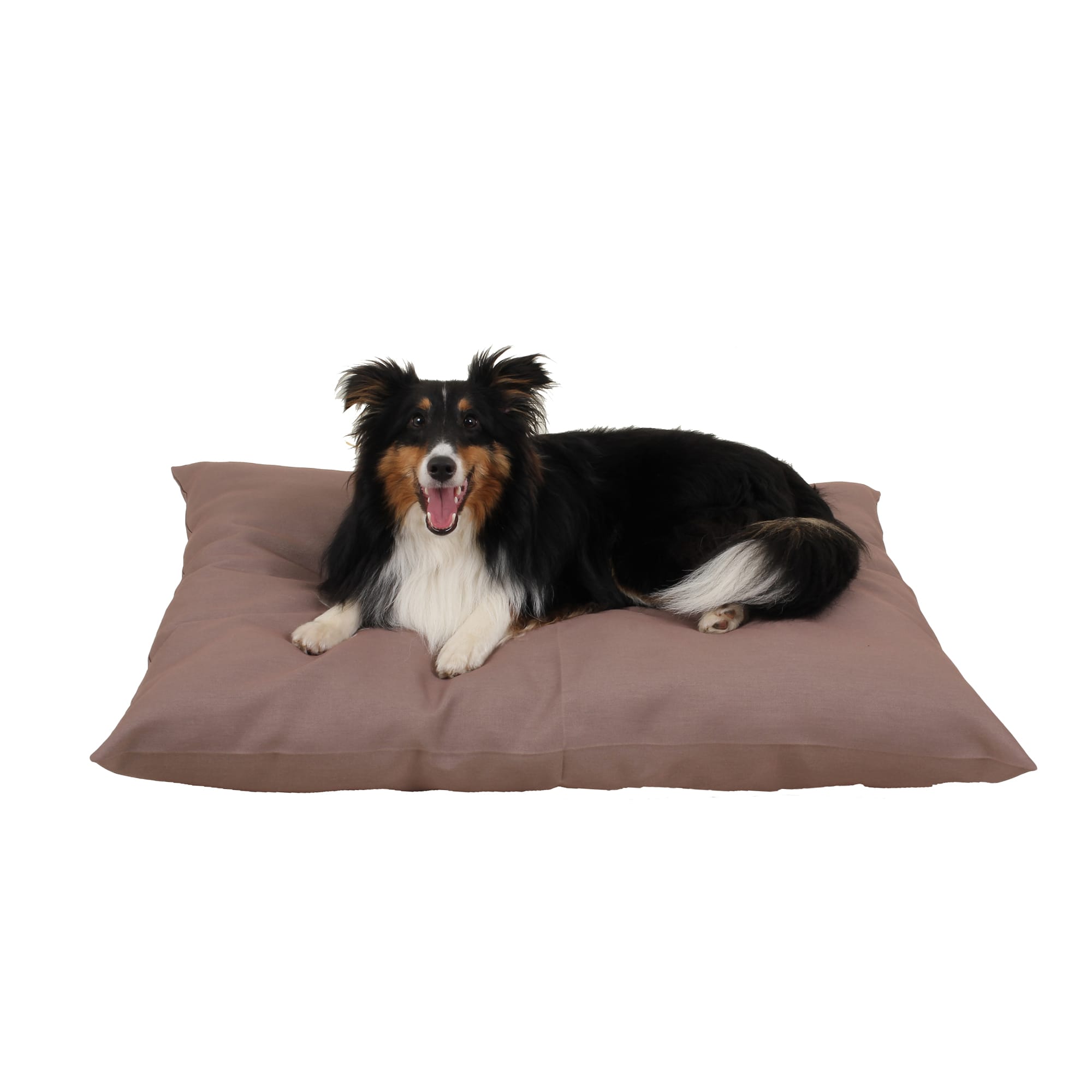 Carolina Pet Indoor/Outdoor Shebang Dog Bed, Tan 36"x27"