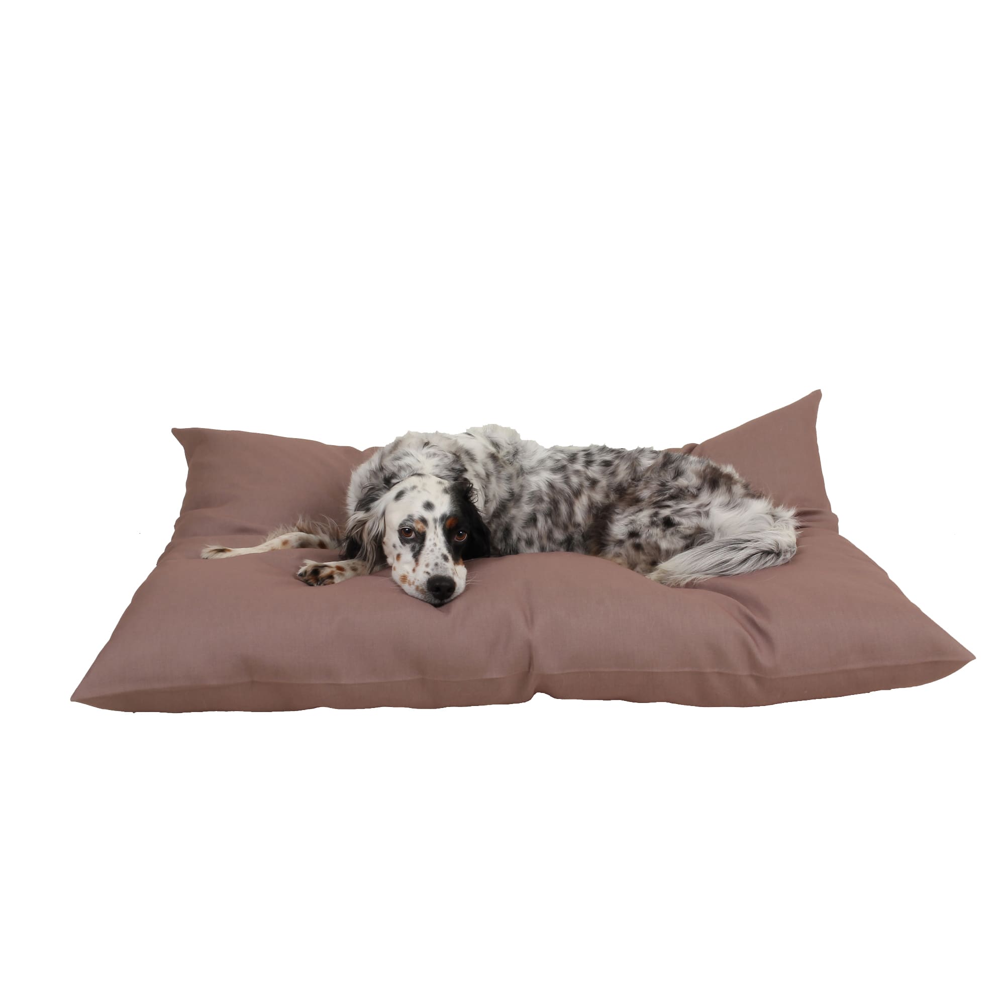 Carolina Pet Company Indoor Outdoor Shebang Dog Bed, 44 L X 35 W X 4 H, Tan, Medium