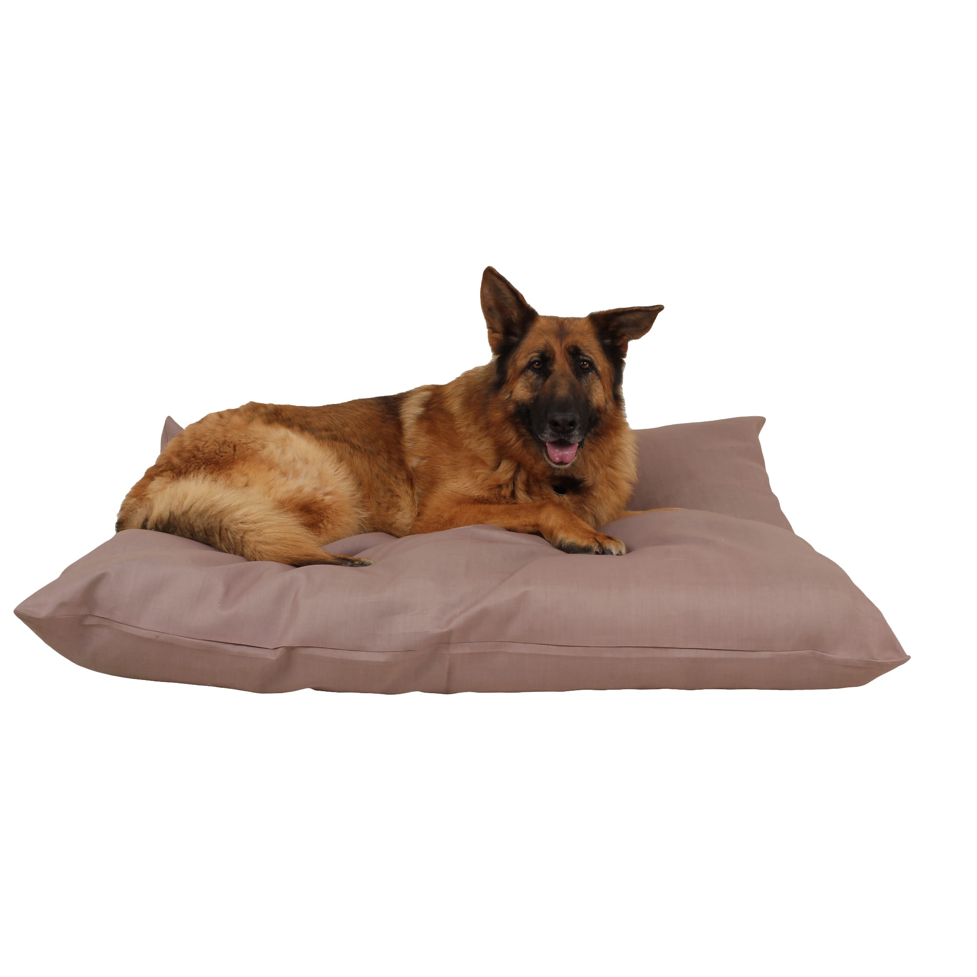 Carolina Pet Company Indoor Outdoor Shebang Dog Bed, 54 L X 44 W X 4 H, Tan, Large