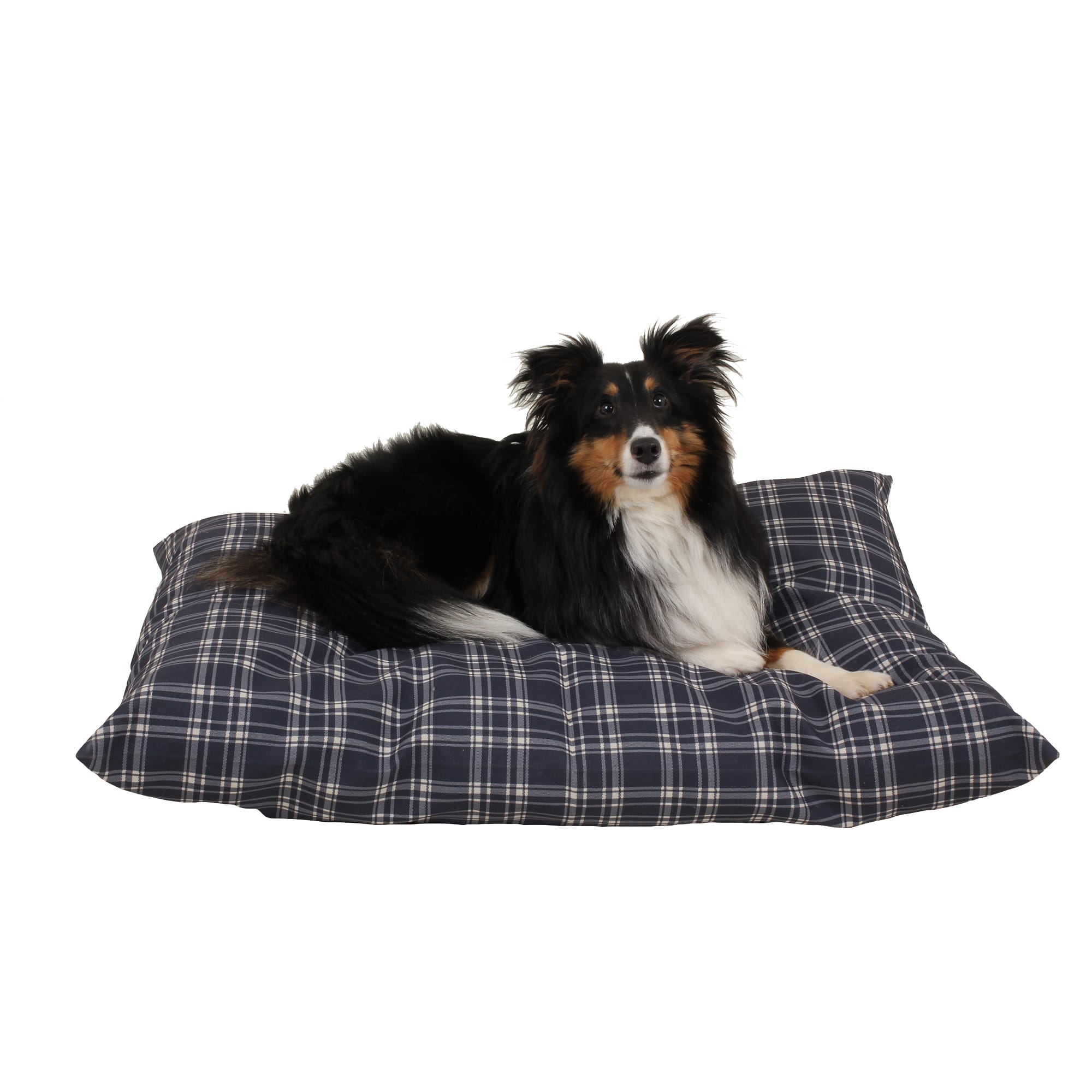 Carolina Pet Company Indoor Outdoor Shebang Dog Bed, 36 L X 27 W X 4 H, Blue Plaid, Small