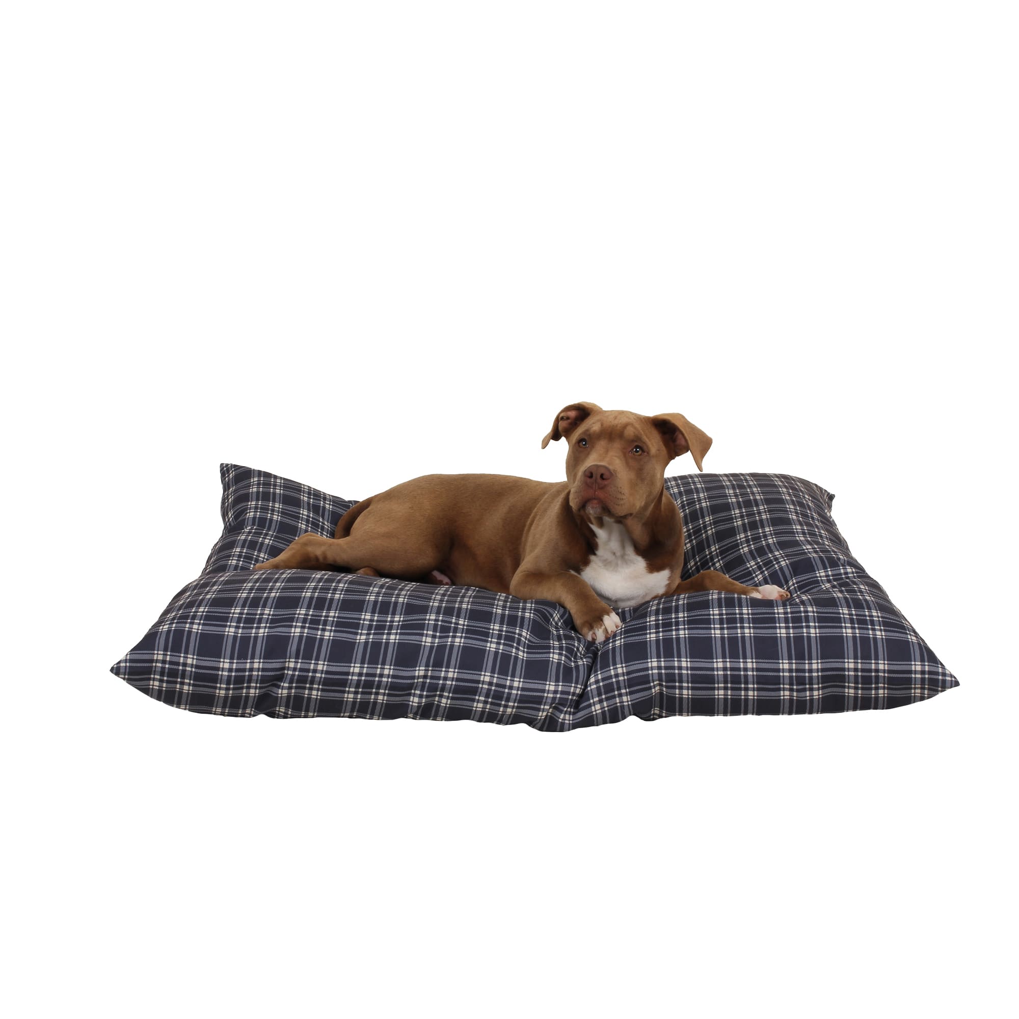Carolina Pet Company Indoor Outdoor Shebang Dog Bed, 44 L X 35 W X 4 H, Blue Plaid, Medium