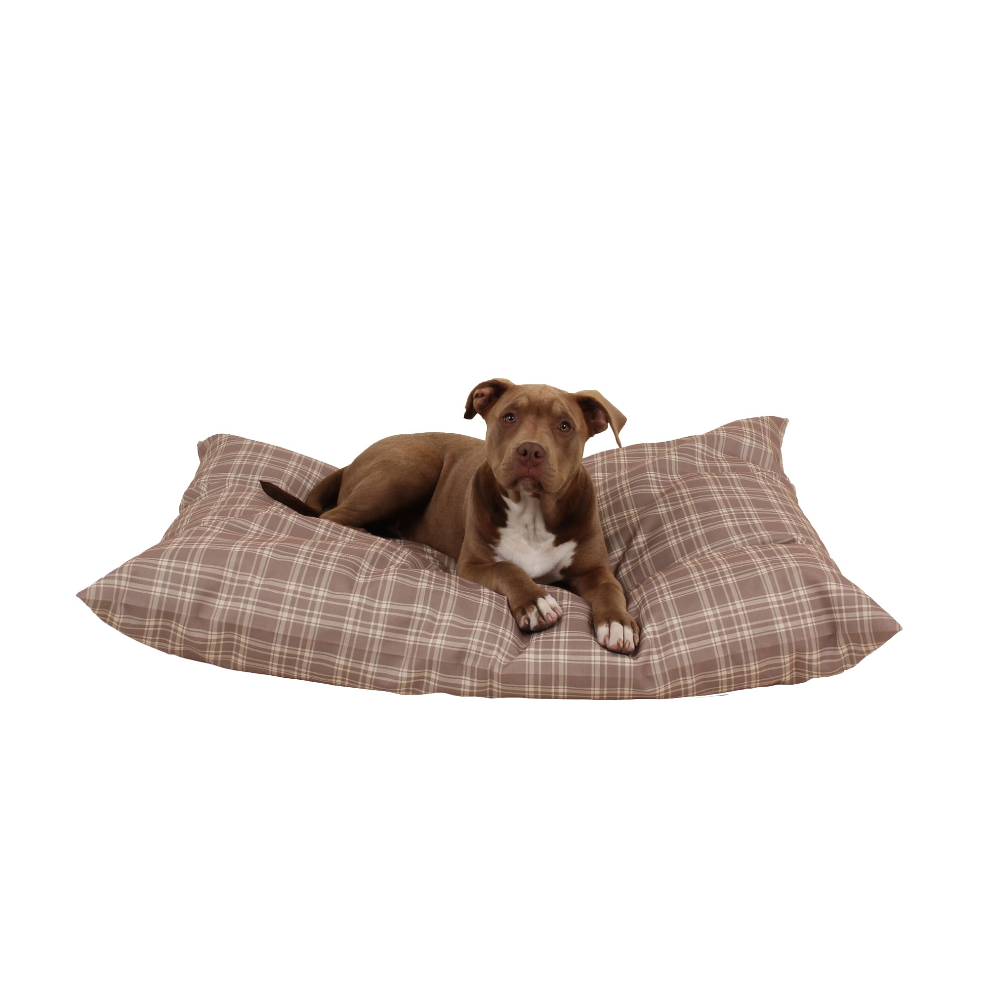 Carolina Pet Company Indoor Outdoor Shebang Dog Bed, 44 L X 35 W X 4 H, Tan Plaid, Medium, White