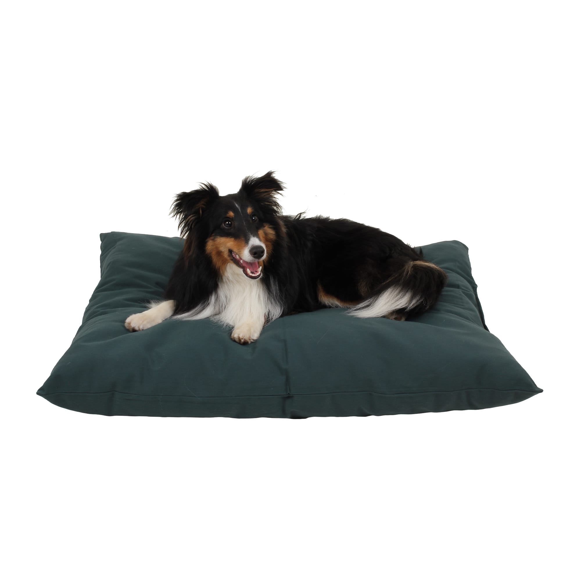 Carolina Pet Company Indoor Outdoor Shebang Dog Bed, 36 L X 27 W X 4 H, Green, Small