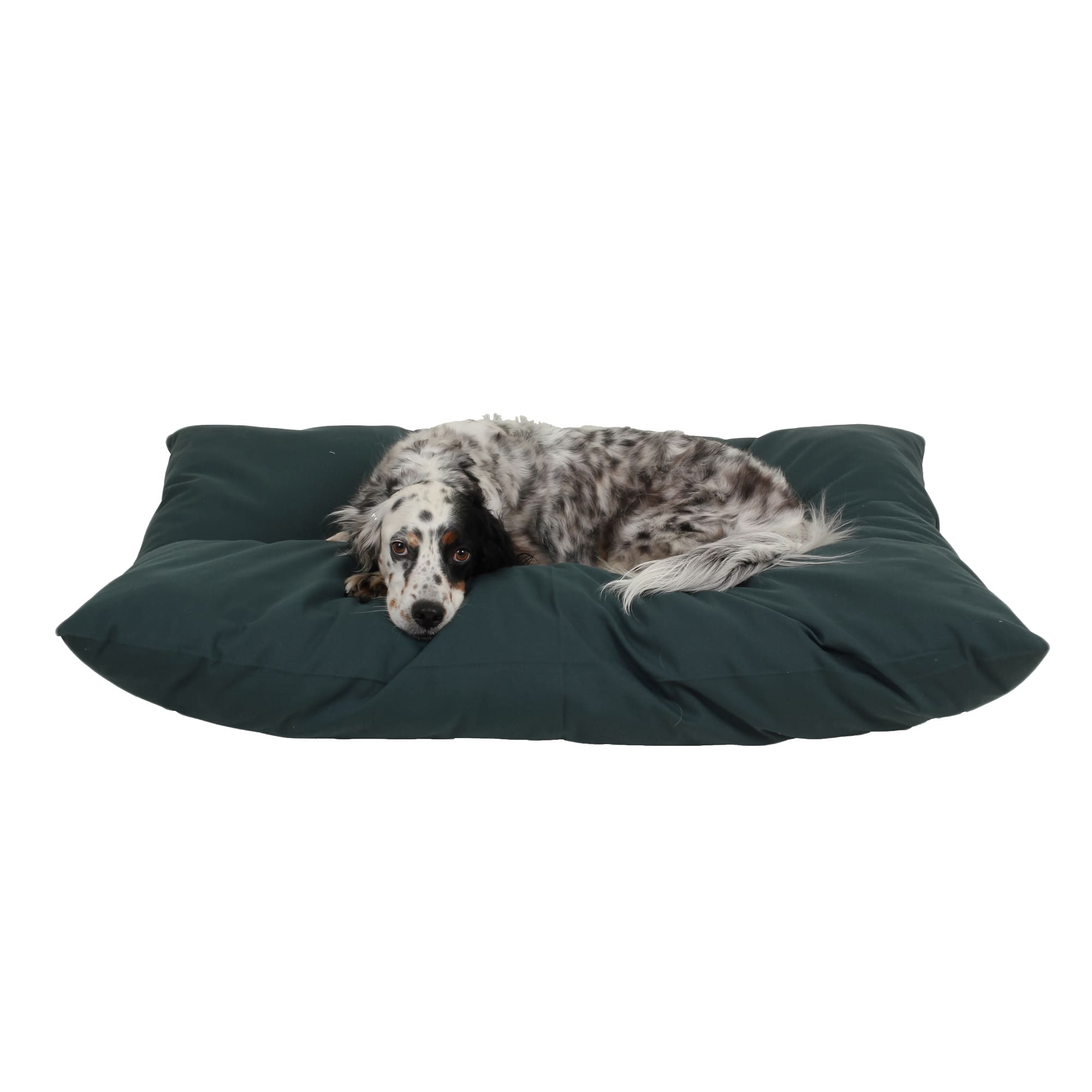 Carolina Pet Company Indoor Outdoor Shebang Dog Bed, 44 L X 35 W X 4 H, Green, Medium