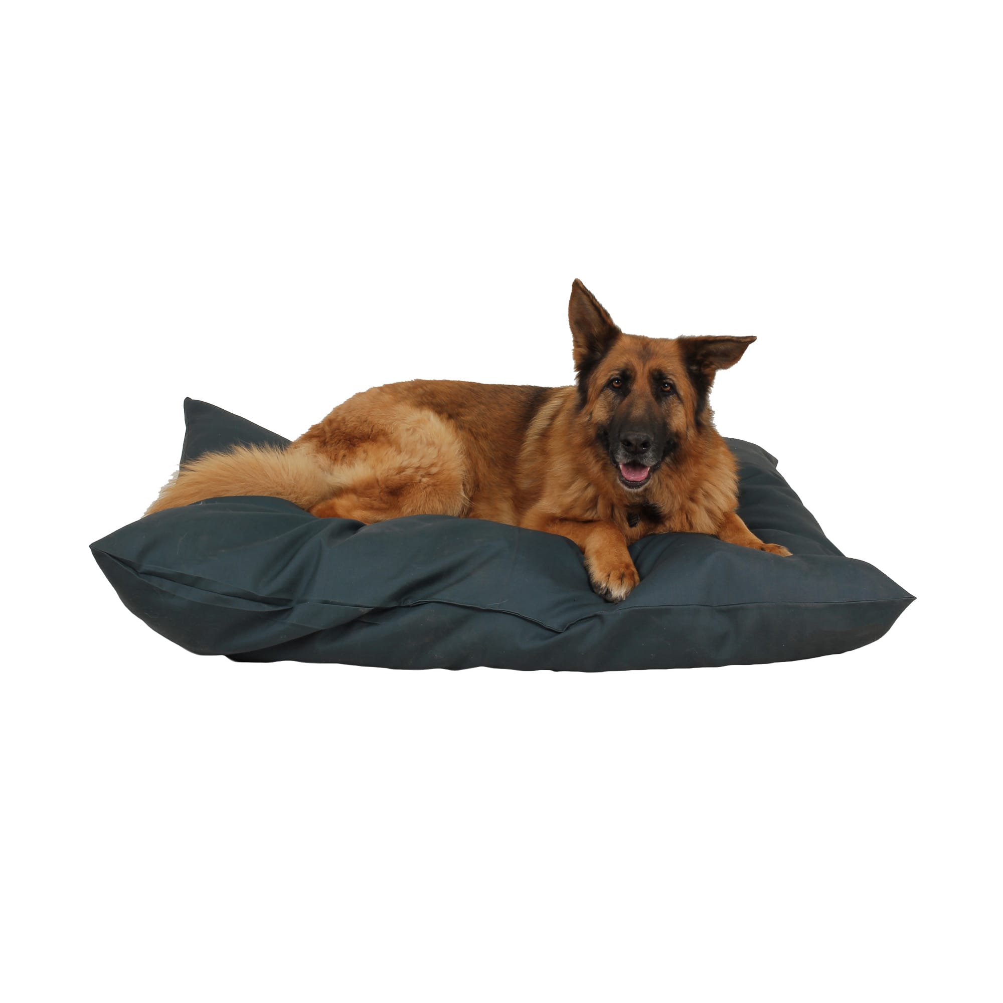 Carolina Pet Company Indoor Outdoor Shebang Dog Bed, 54 L X 44 W X 4 H, Green, Large