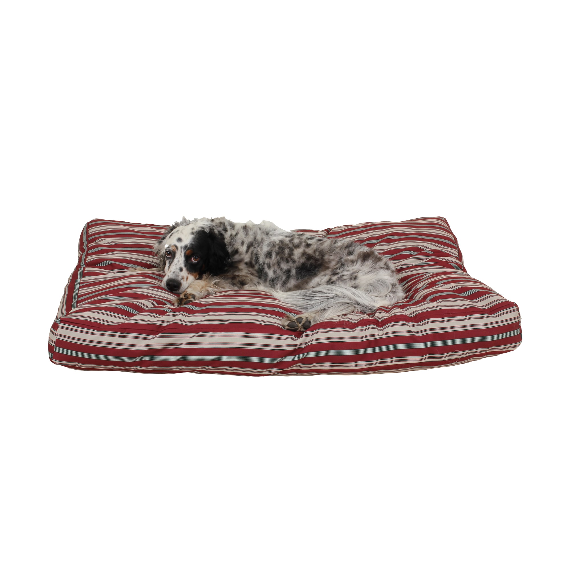 Carolina Pet Company Indoor Outdoor Jamison Faux Gusset Dog Bed, 42 L X 30 W X 4 H, Red Striped, Large
