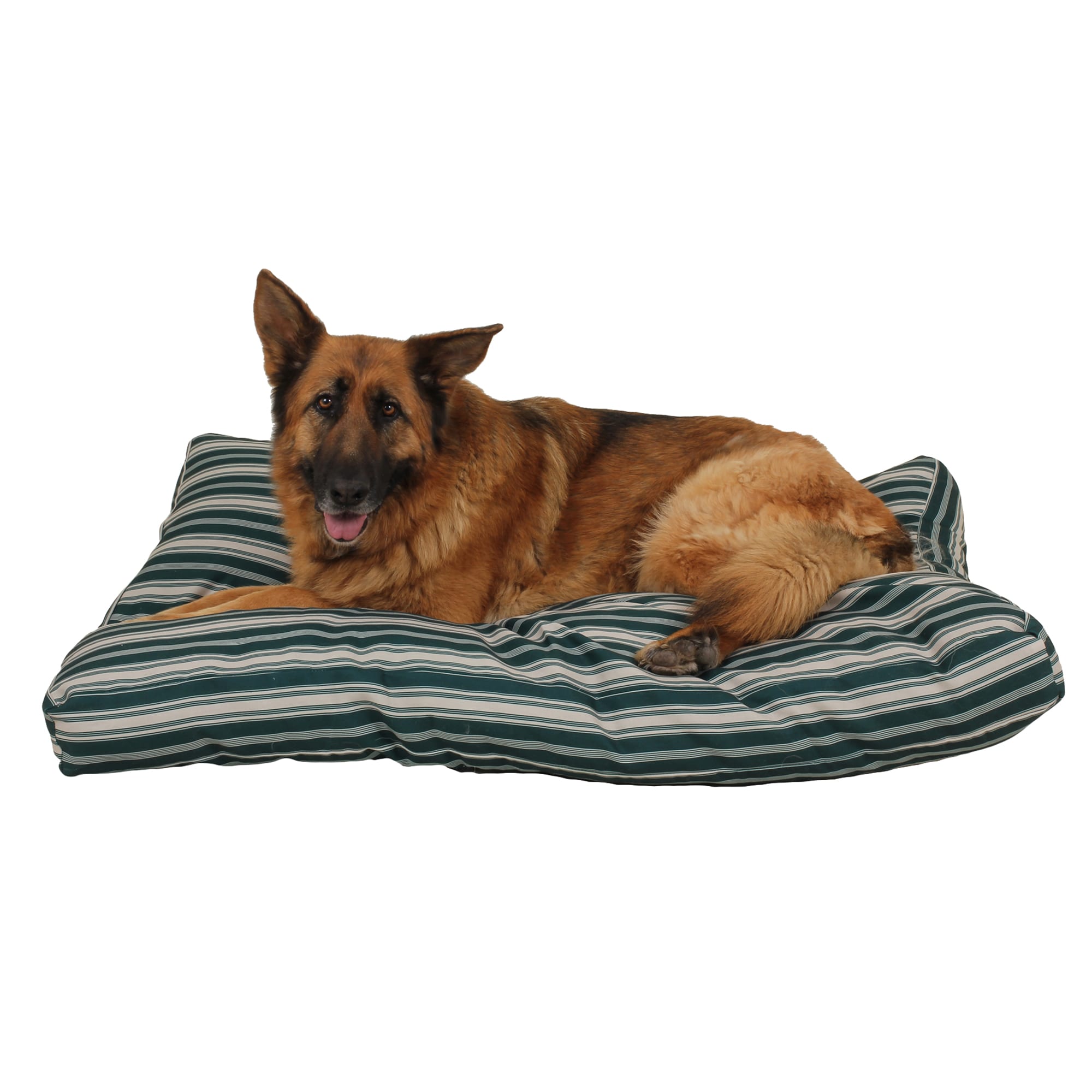 Carolina Pet Company Indoor Outdoor Jamison Faux Gusset Dog Bed, 54 L X 44 W X 4 H, Green Striped, Large