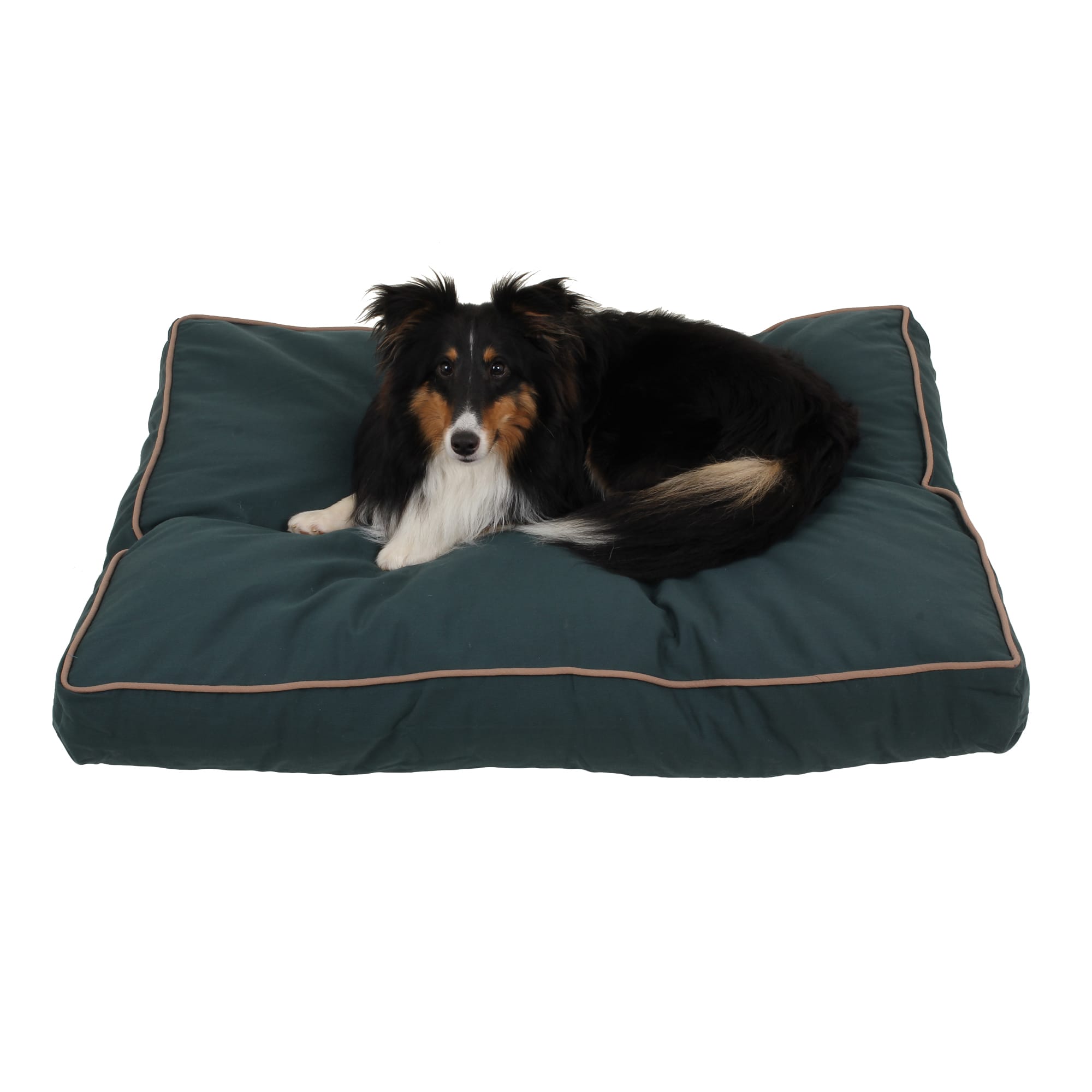 Carolina Pet Company Indoor Outdoor Jamison Faux Gusset Dog Bed, 36 L X 27 W X 4 H, Green, Small