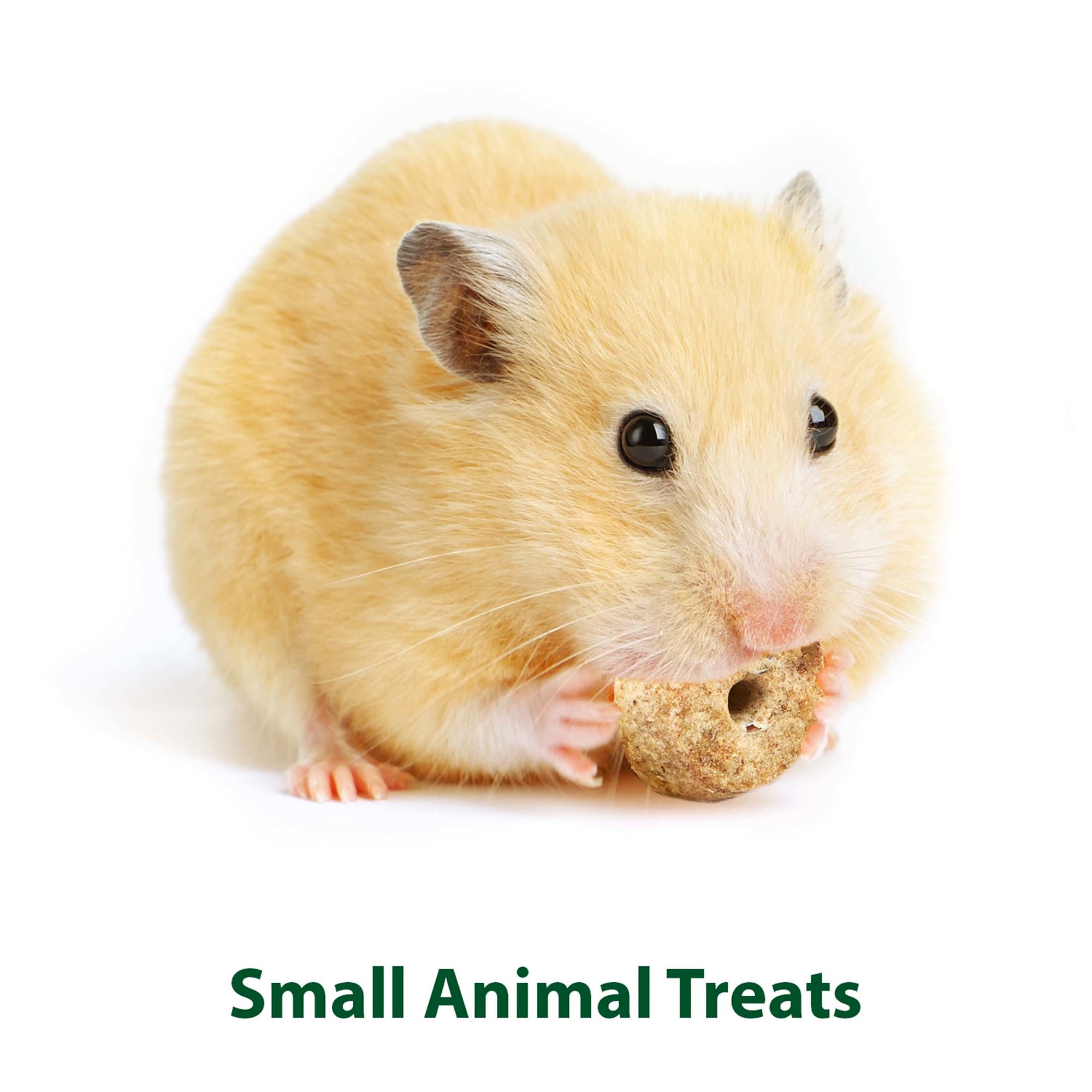 Kaytee® Premium Timothy Hideout Small Animal Treat Small 