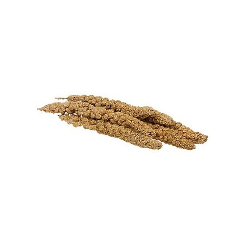 Healthy Toppings Papaya Treat for All Pet Birds : Bird Treats: Spray Millet  Treats, Seed, and Treat Sticks