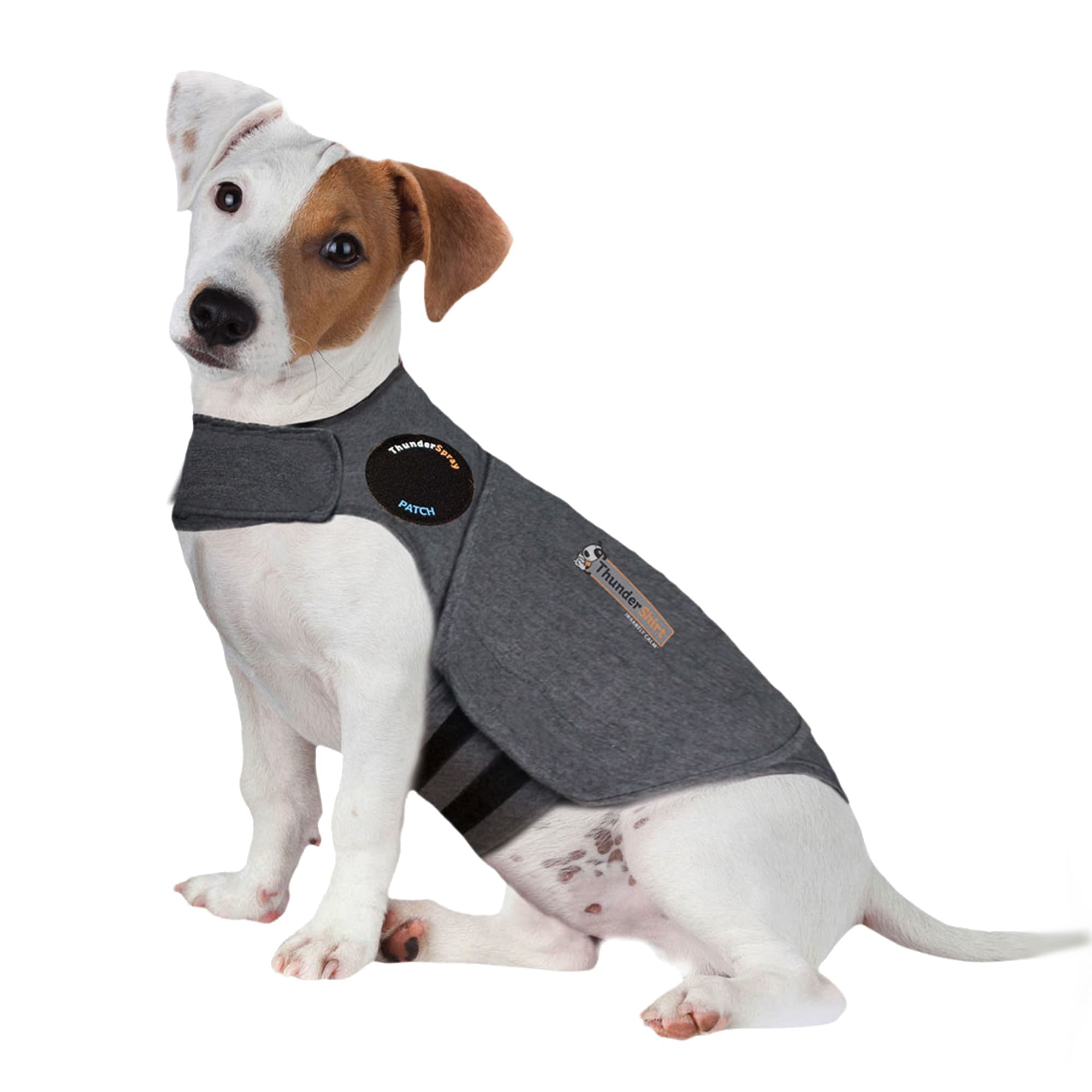 Thundershirt for hot sale cats petco