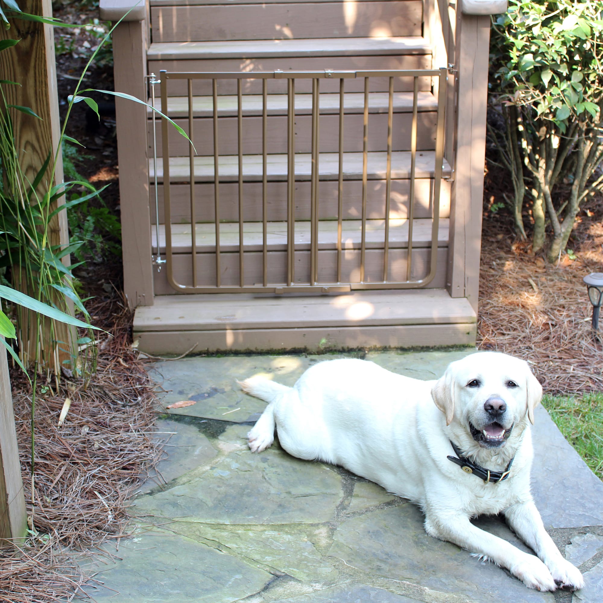 Cardinal Gates Stairway Special Outdoor Pet Gate in Brown, 2" L X 36" W