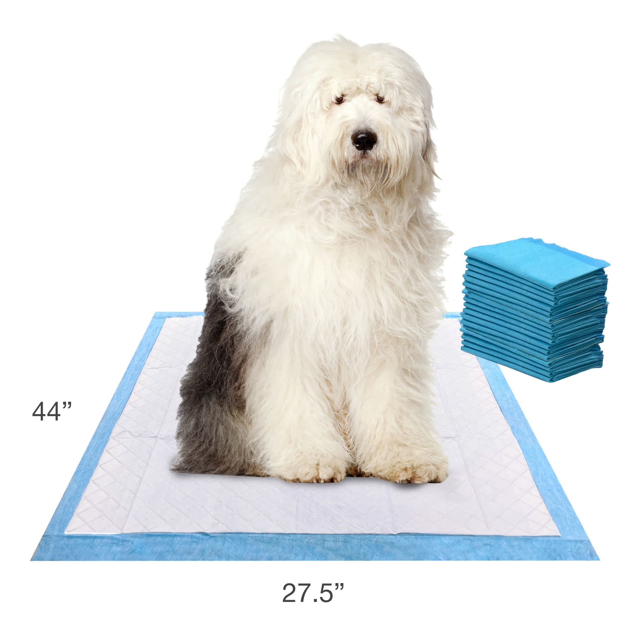 Wee Wee Gigantic Leak Proof Puppy Pads for Large Dogs Homes