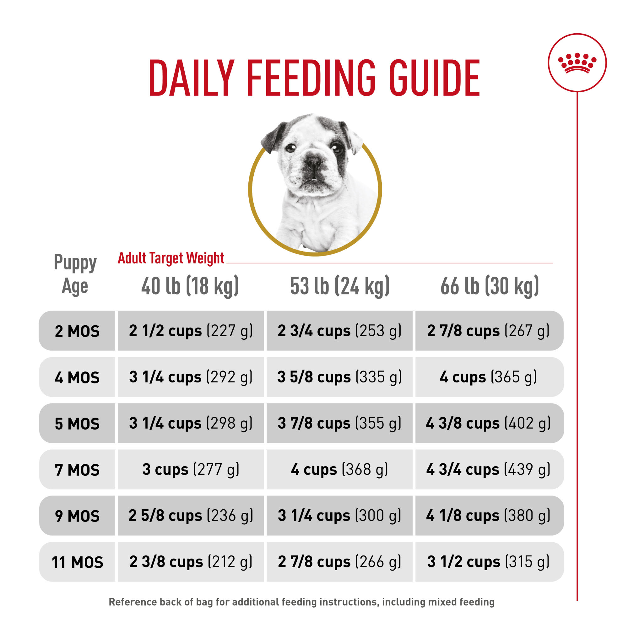 Bulldog Weight Chart 11 Month Old English Bulldog Royal Canin