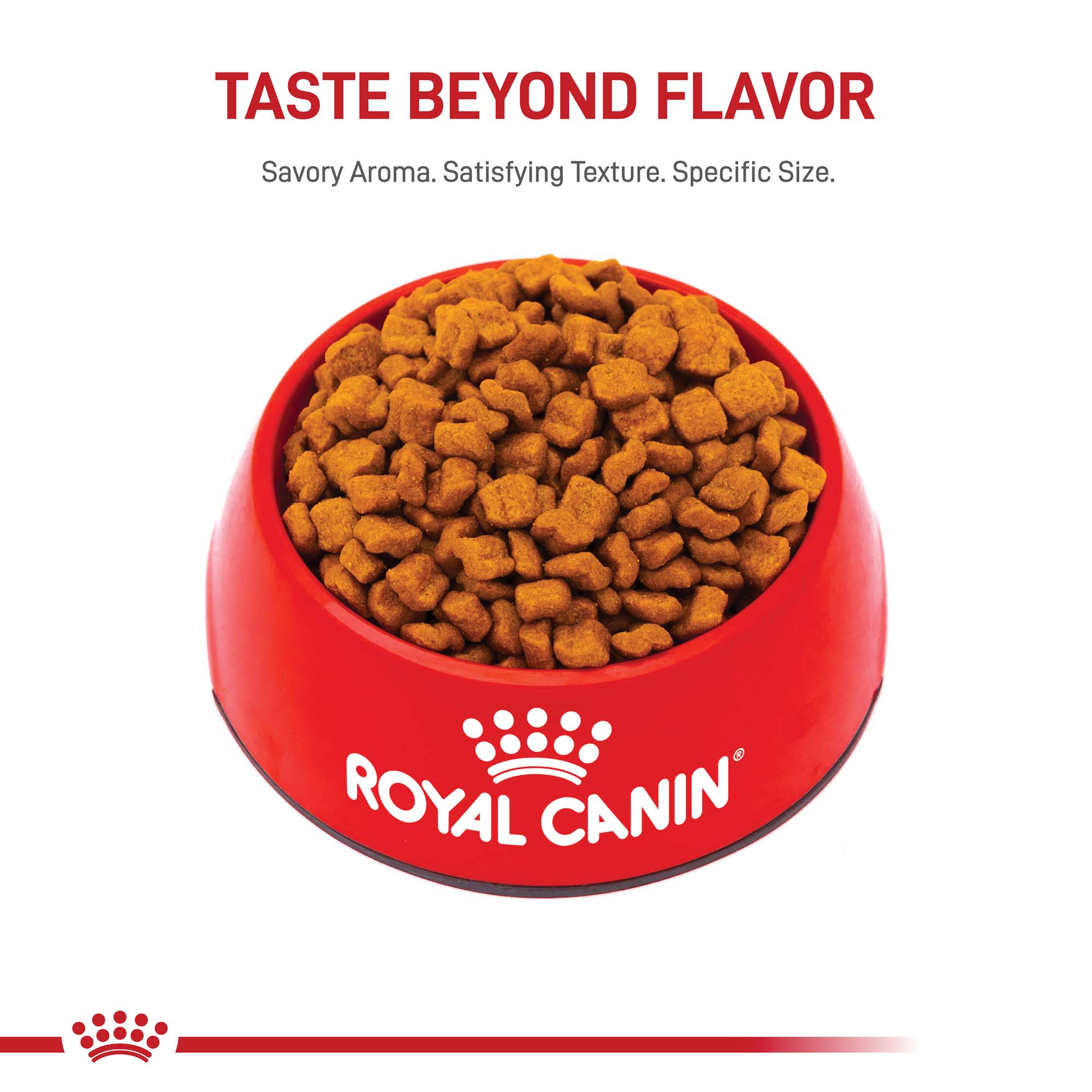 Royal Canin Breed Health Nutrition Bulldog Puppy Dry Dog Food 30 lbs. Petco