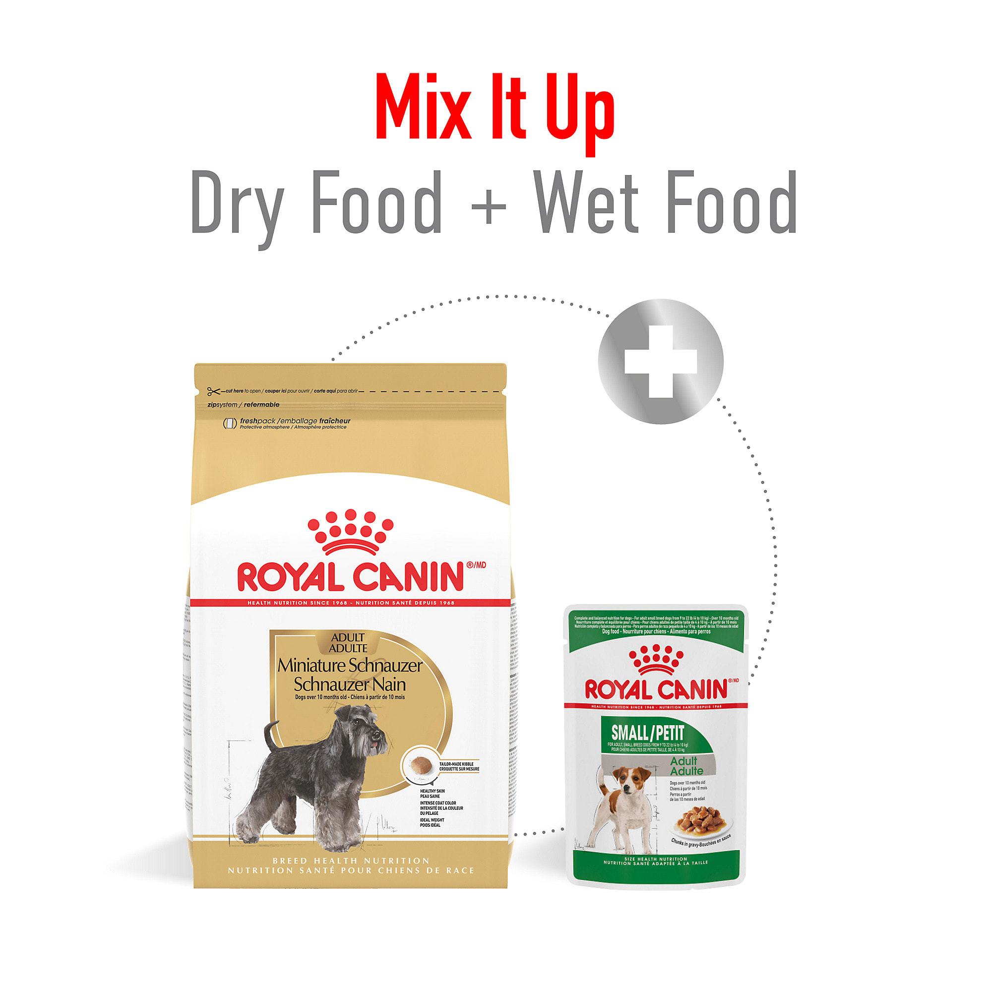 Standard Schnauzer Adult Best Dry Food For Schnauzers Royal