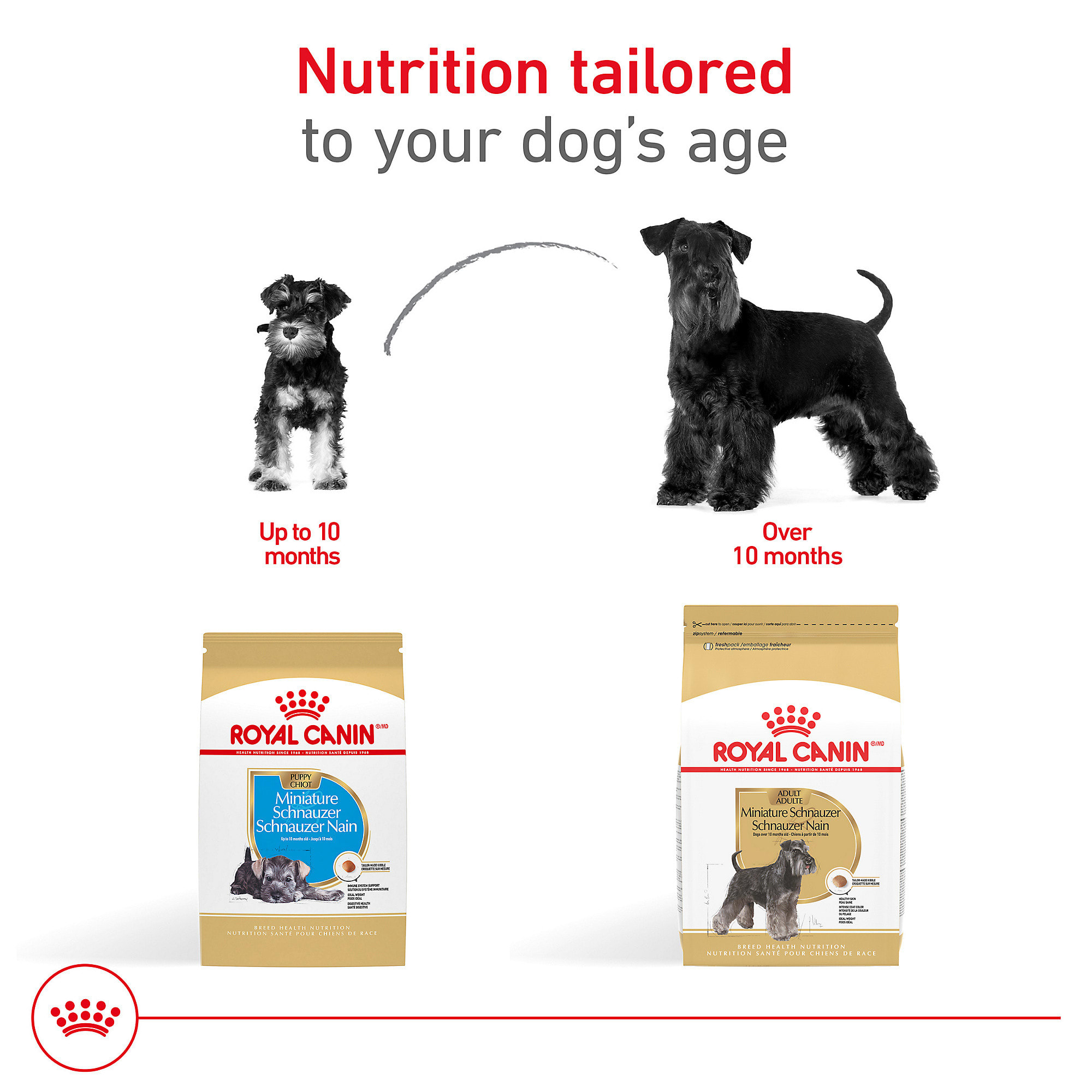 Royal Canin Breed Health Nutrition Miniature Schnauzer Adult Dry