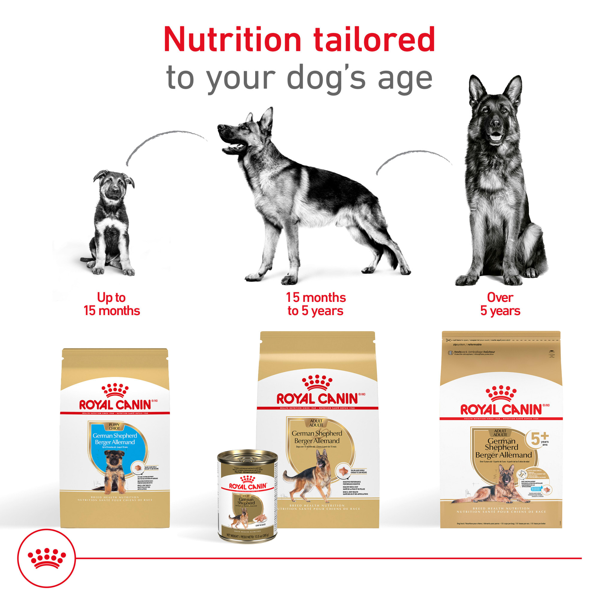 German Shepherd Puppy Belgian Malinois Puppy Food Amount Belgian