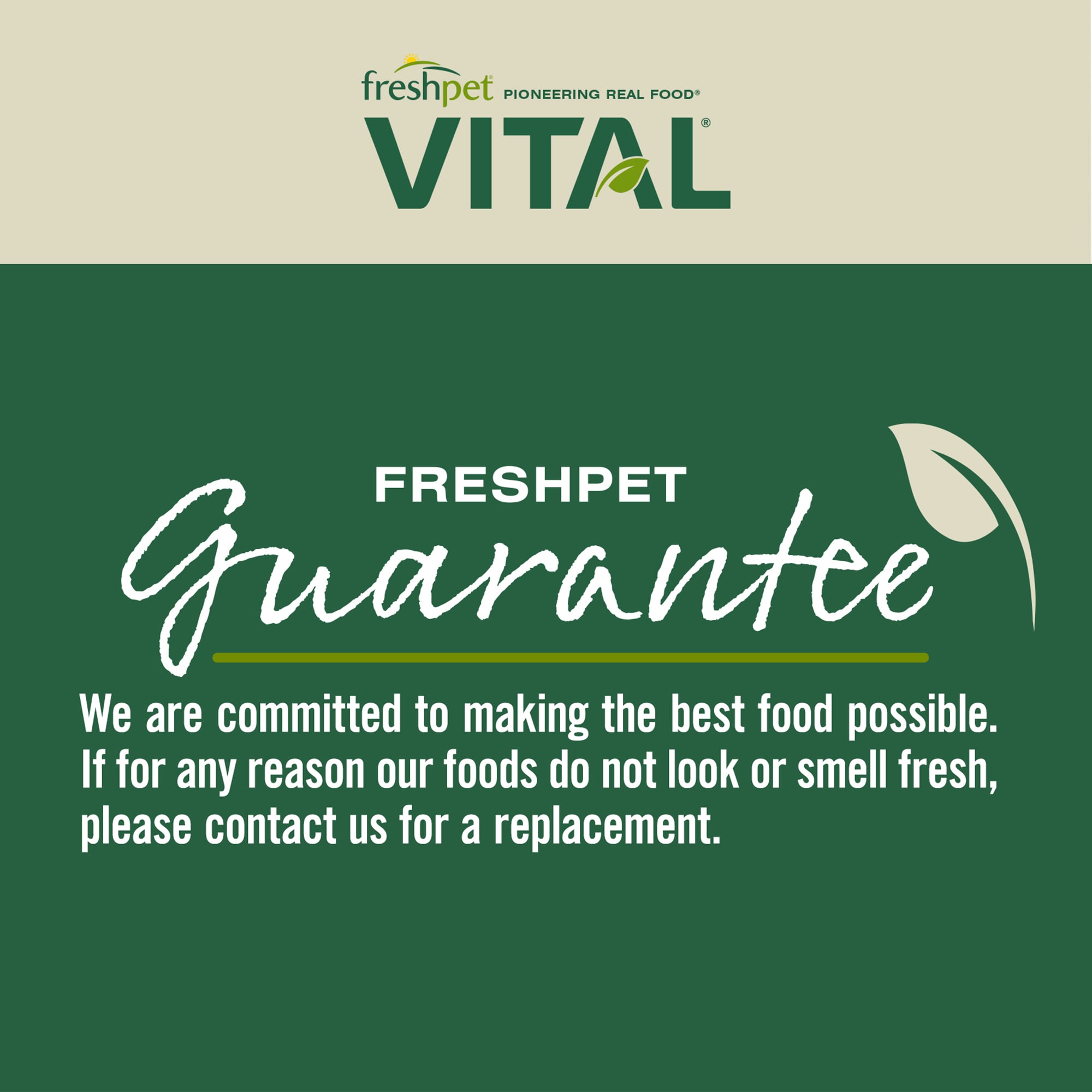 Freshpet vital outlet cat food