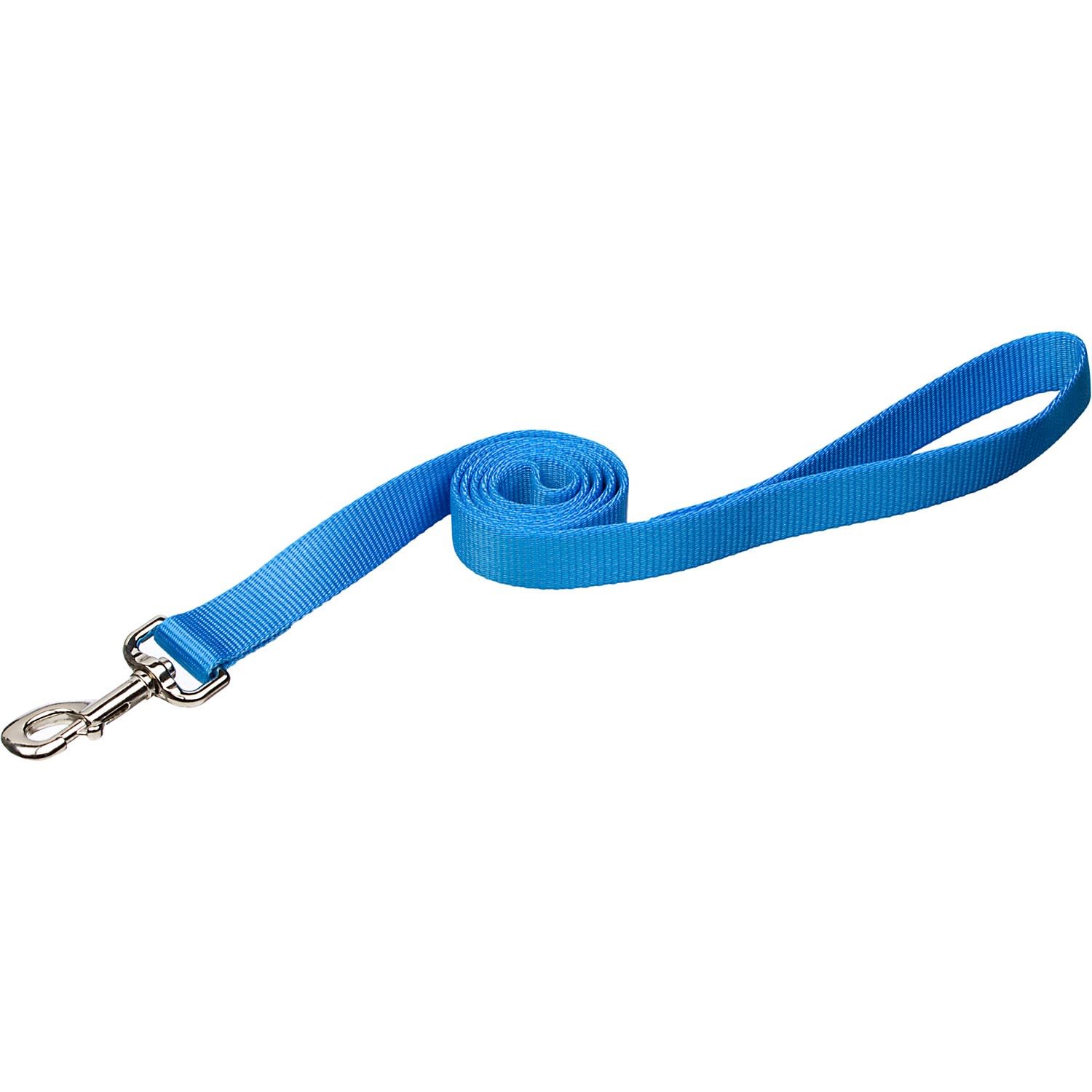 Coastal Pet Nylon Personalized Dog Leash in Light Blue 4 L X 3 8