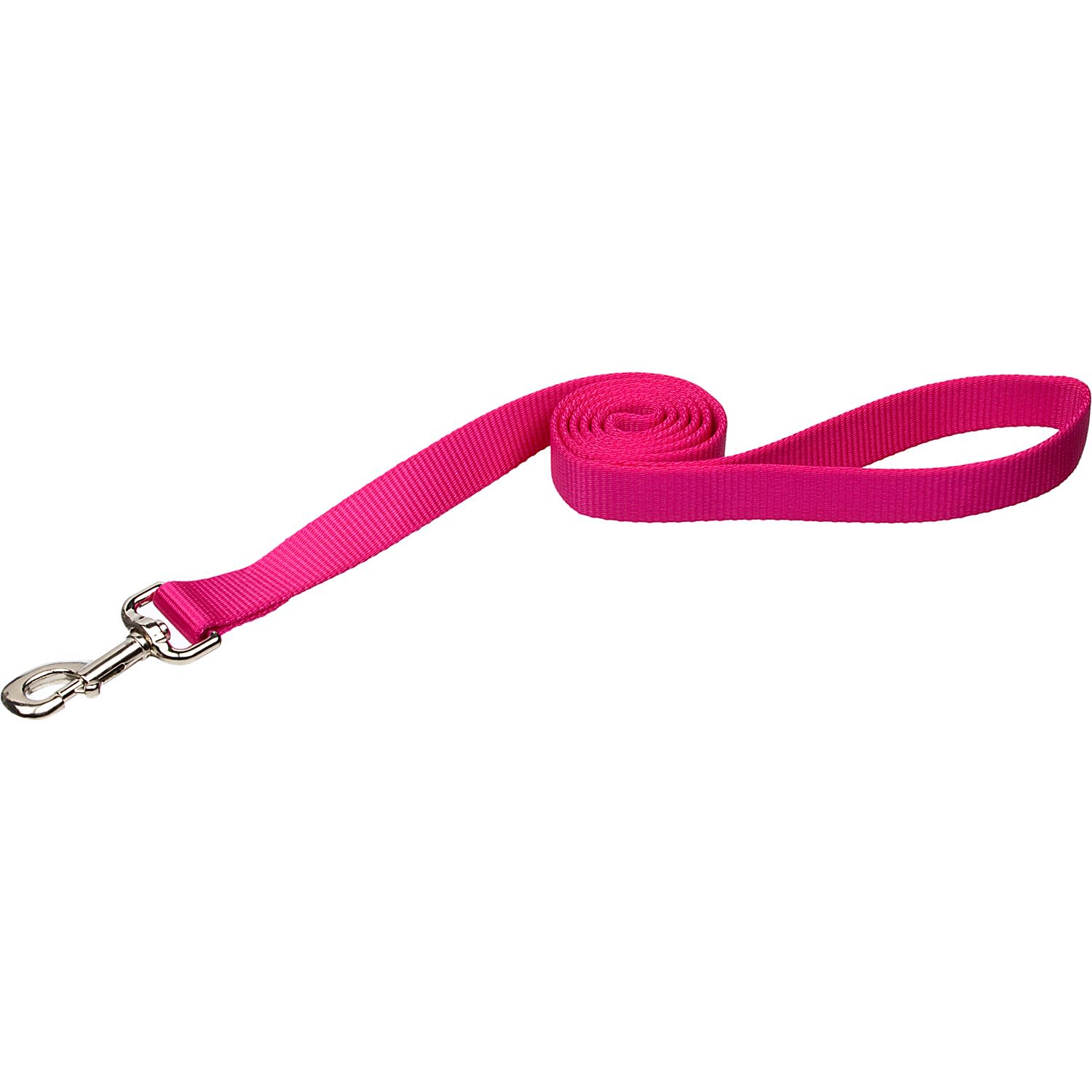 Coastal Pet Nylon Personalized Dog Leash in Pink Flamingo, 4' L X 3/4 ...