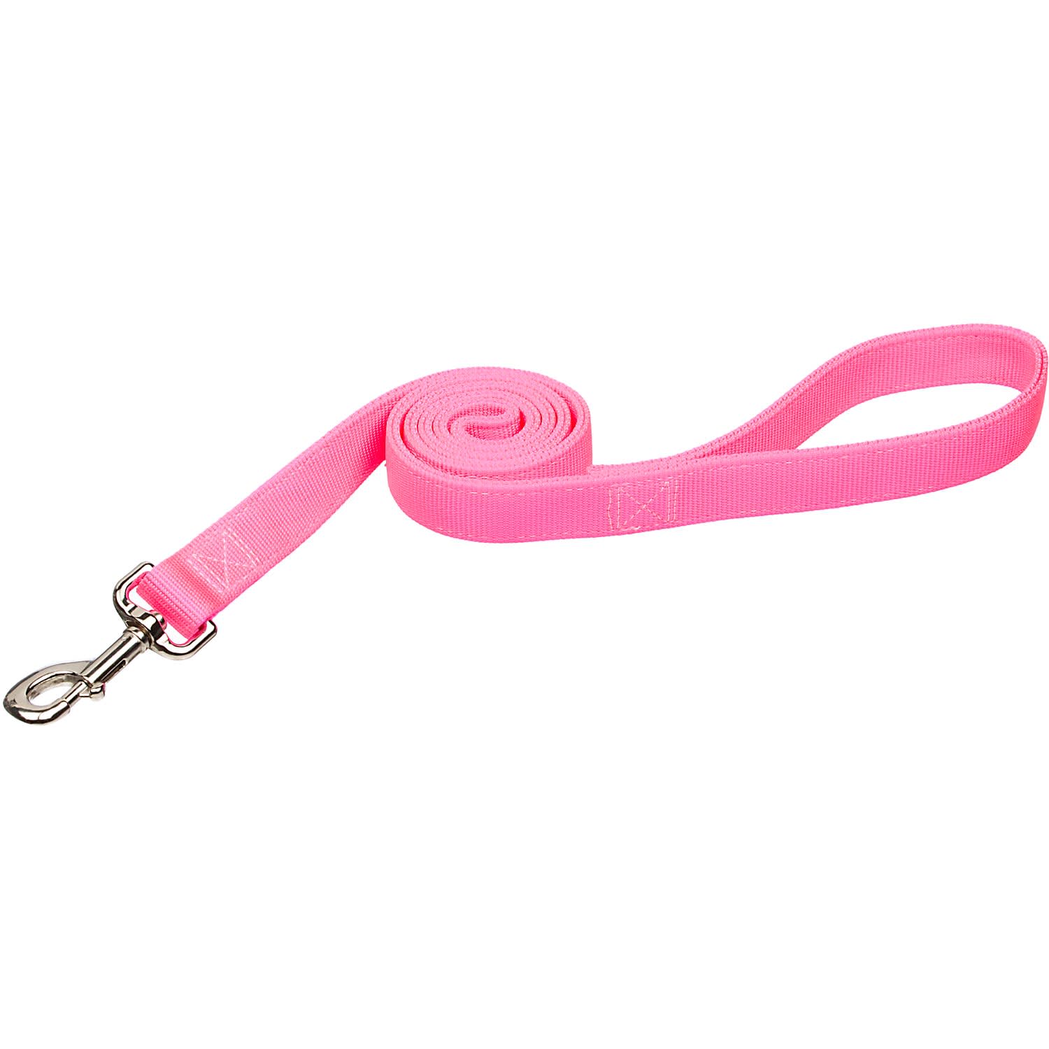 Coastal Pet Double Ply Nylon Personalized Dog Leash in Neon Pink, 6' L x 1 W, Medium