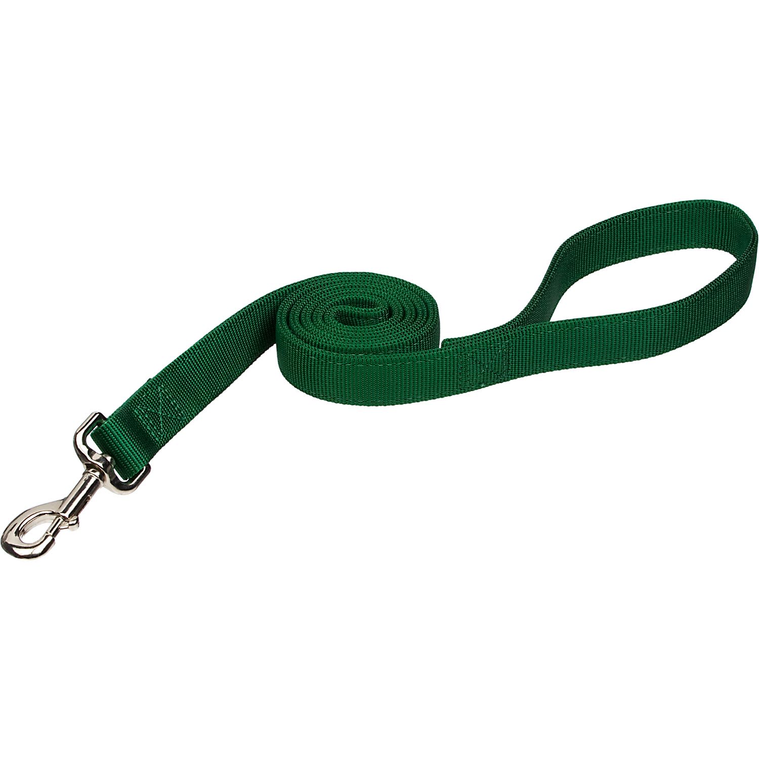 Coastal Pet Personalized Hunter Double Ply Dog Leash 6 ft. Petco