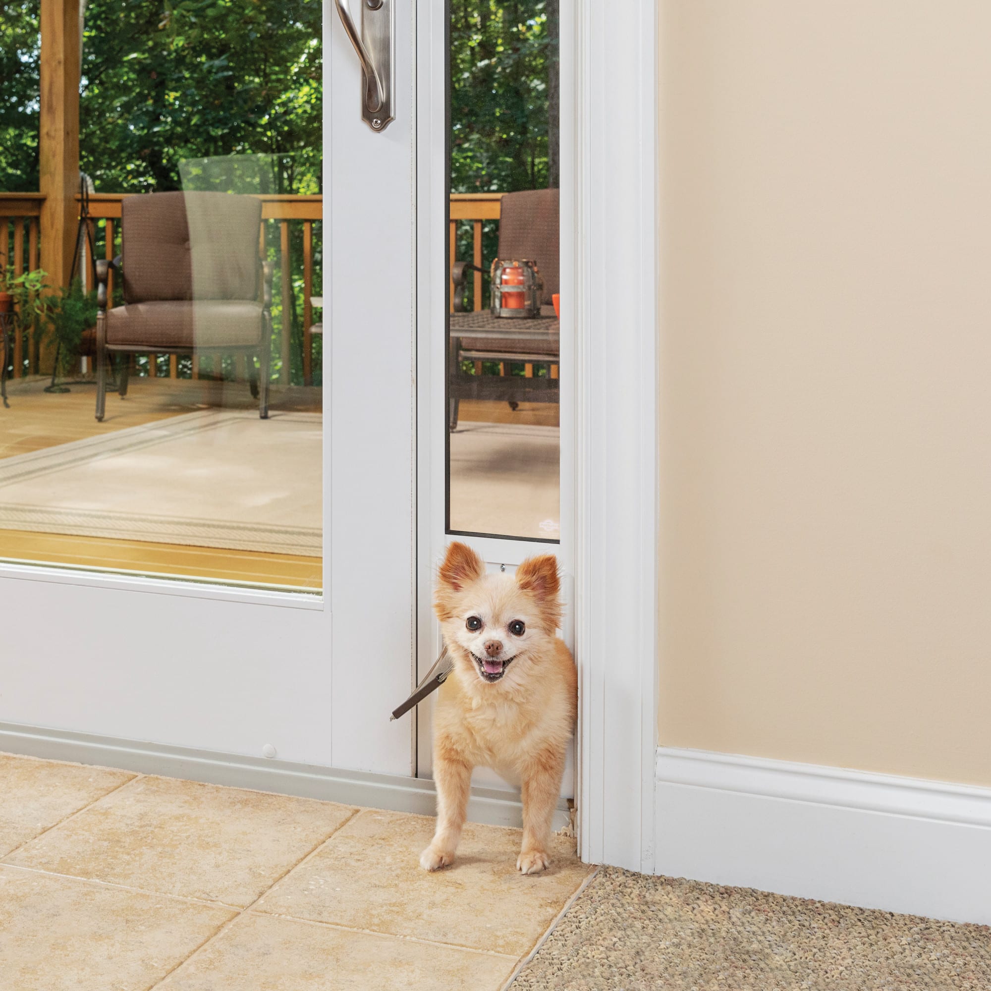 Petco fashion sliding glass dog door