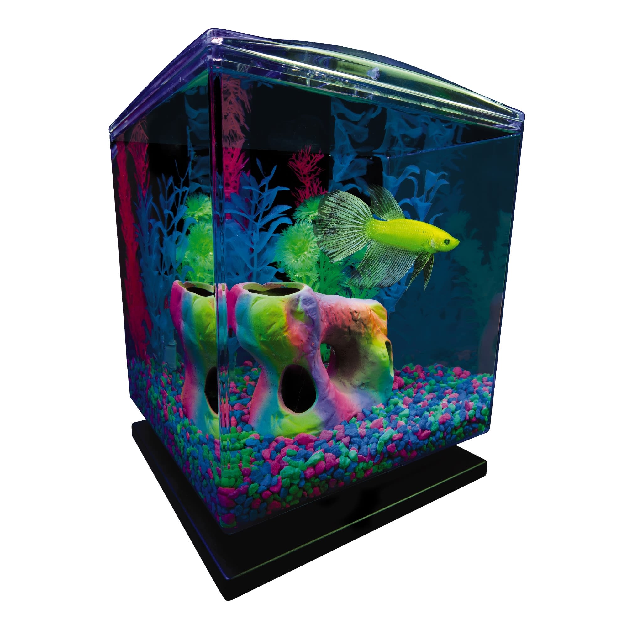 GloFish Aquarium Background 