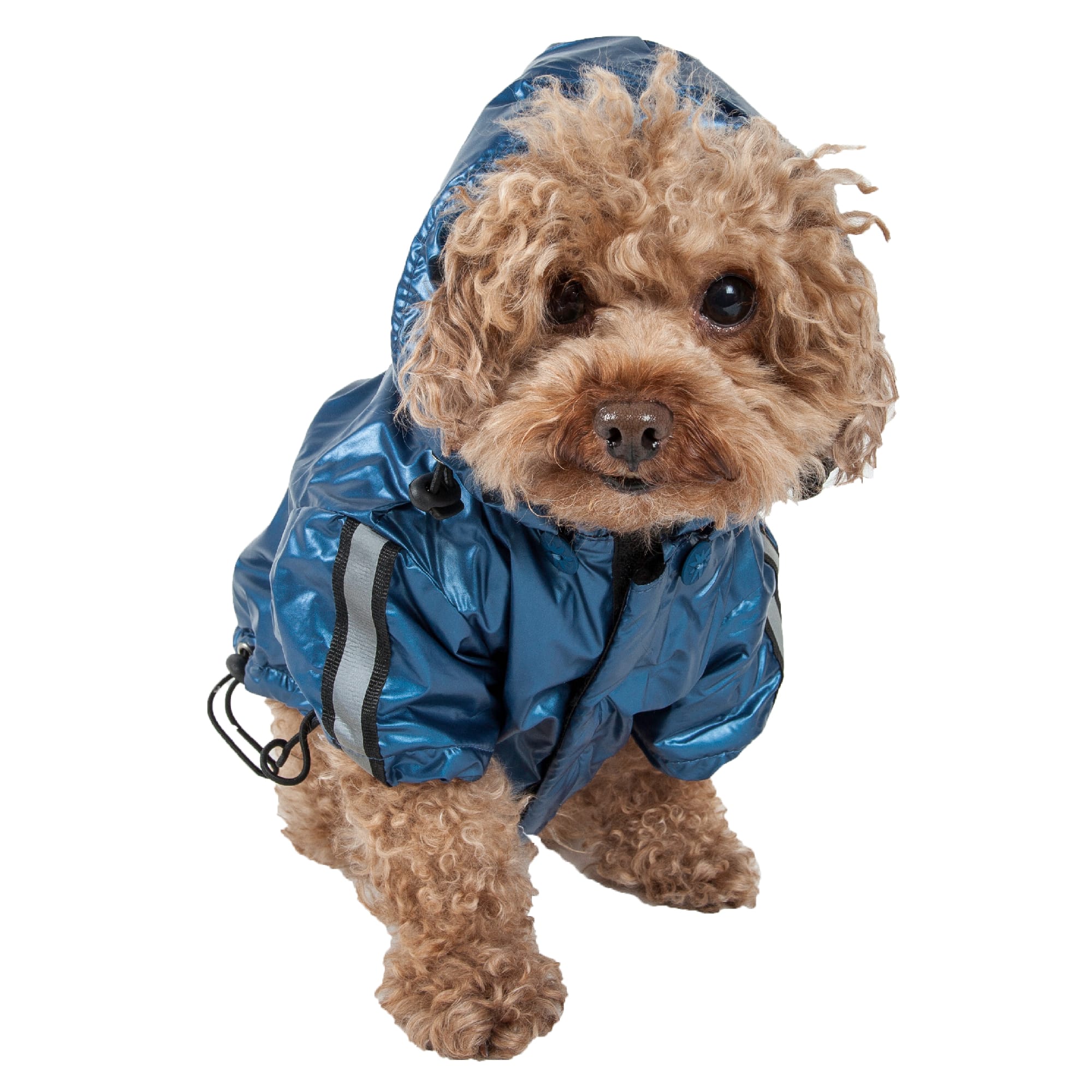 Pet Life Blue All Weather Casual Windbreaker for Dogs, Small