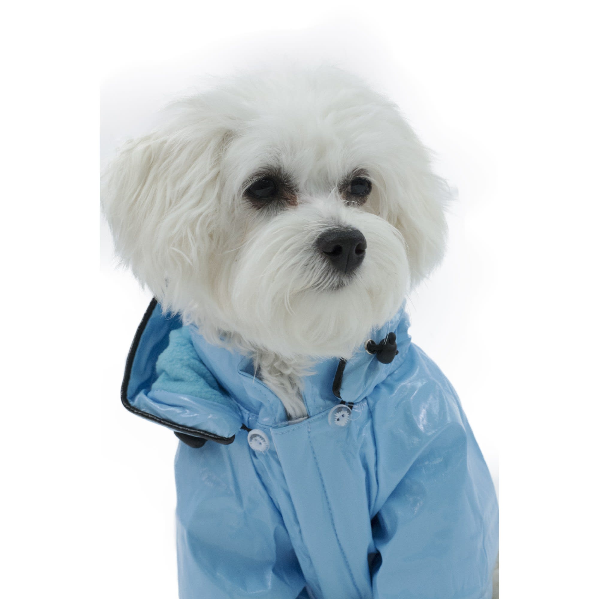 Pet Life Baby Blue Pvc Waterproof Adjustable Pet Raincoat, X-Small