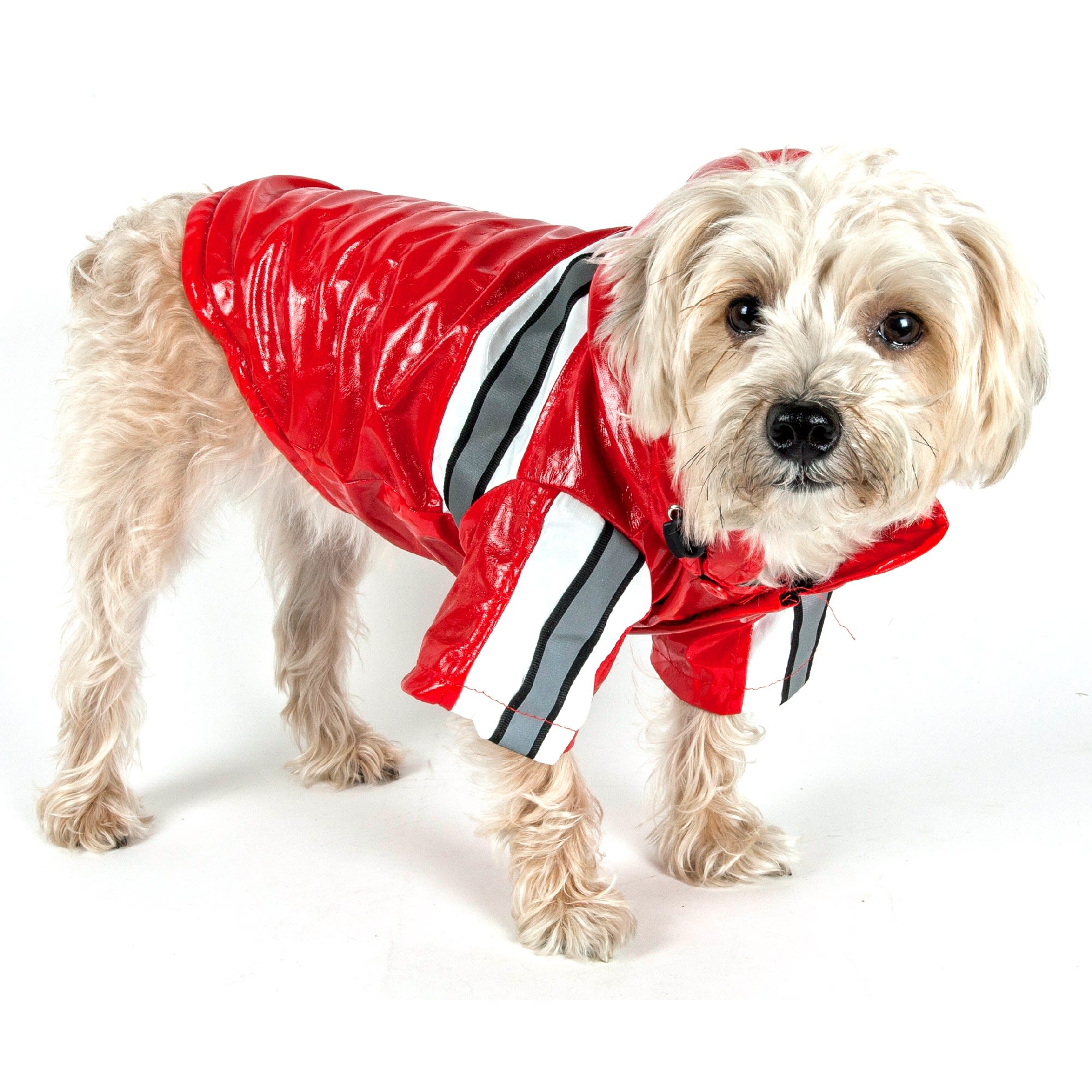 Pet Life Reflecta-Glow Reflective Waterproof Adjustable Pvc Pet Raincoat in Red, Medium