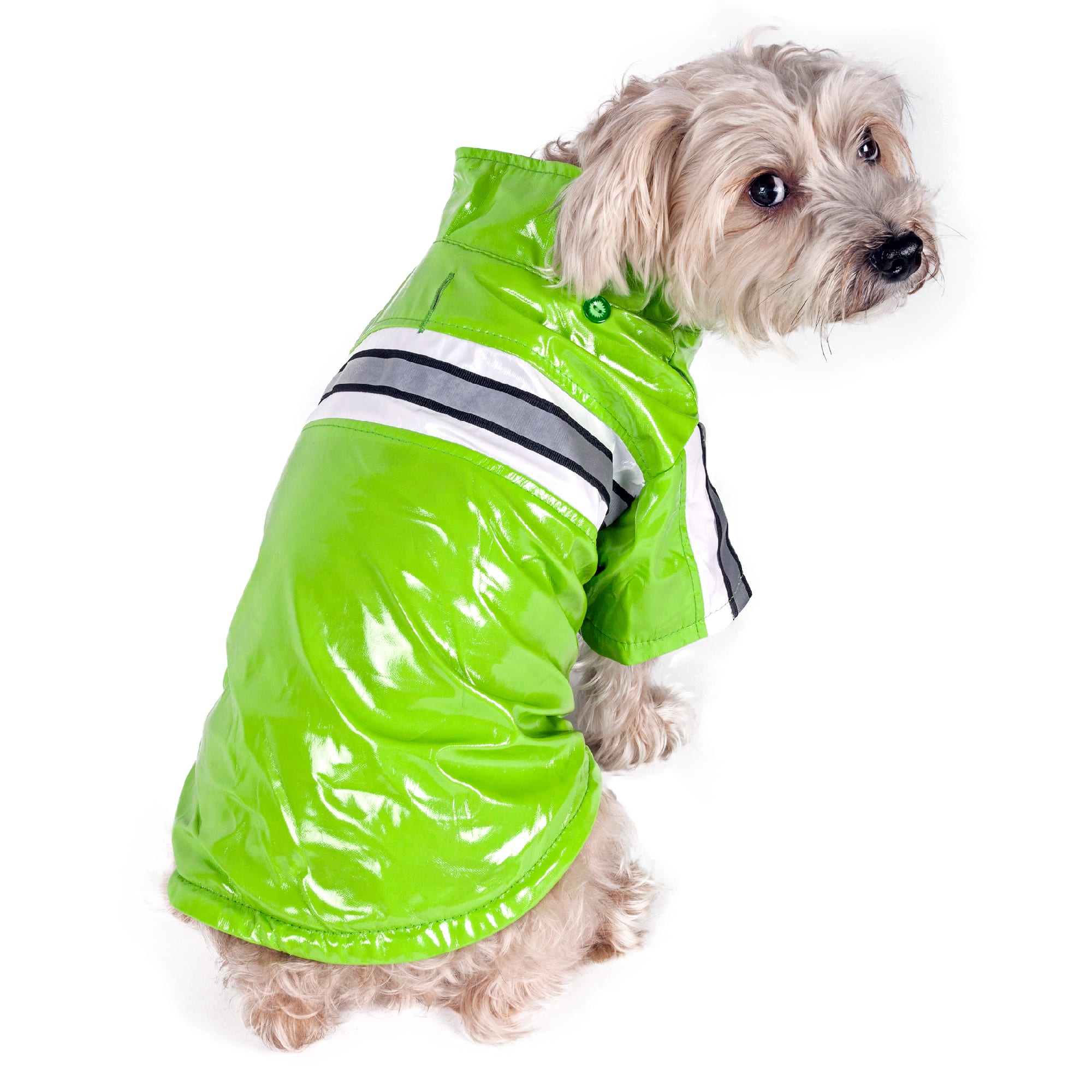 Pet Life Green Reflecta-Glow Reflective Waterproof Adjustable Pvc Pet  Raincoat, X-Small