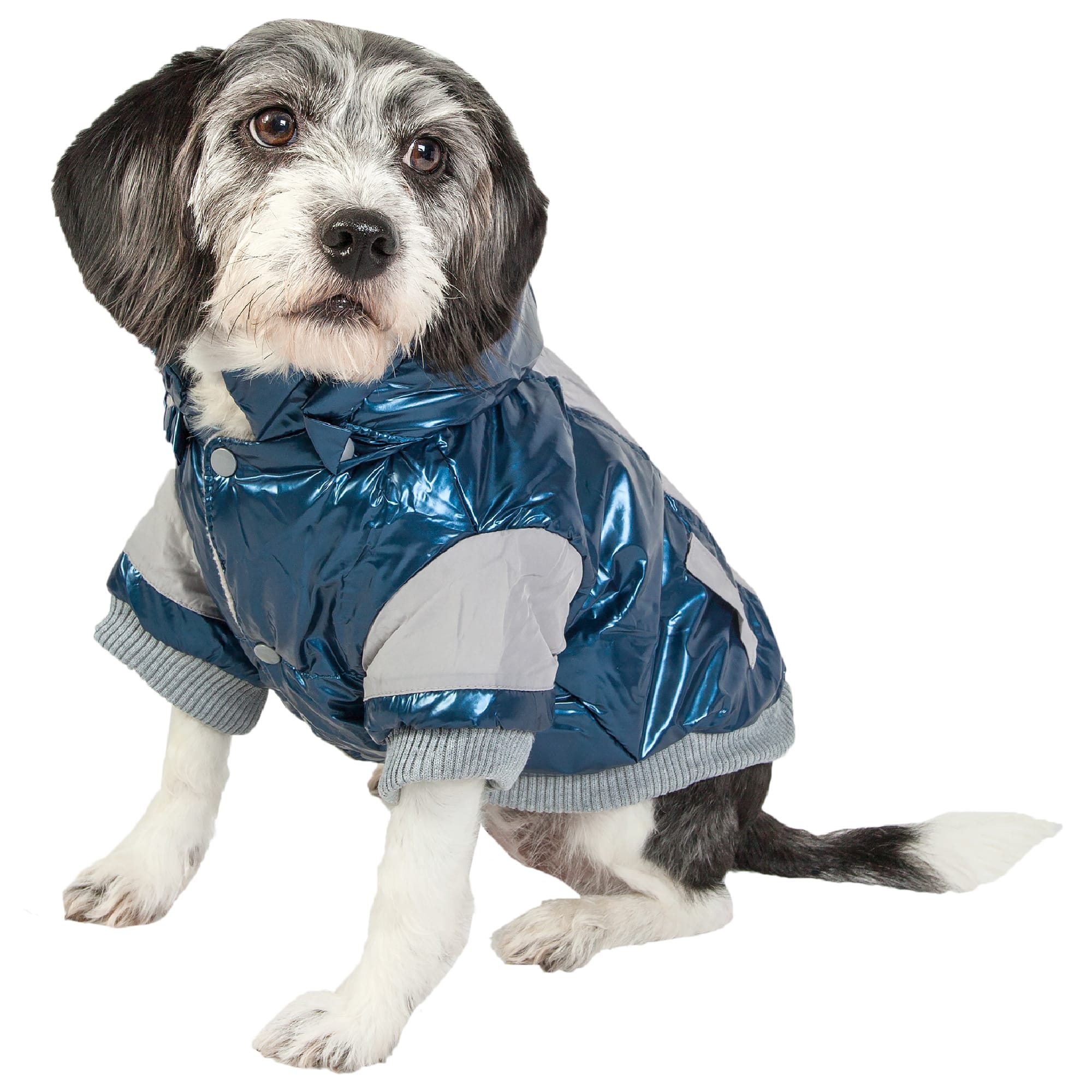 Pet Life Blue Sporty Vintage Aspen Pet Ski Jacket, Medium Petco