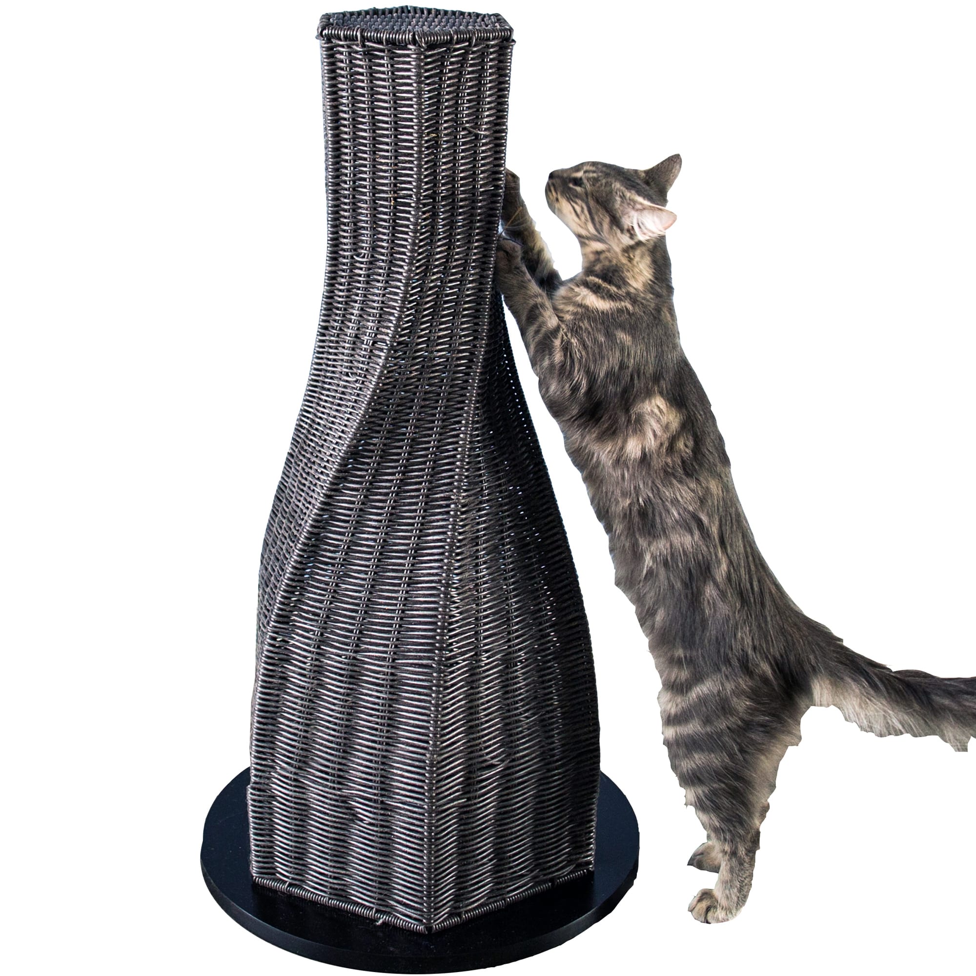 Refined Feline Calypso Espresso Cat Scratcher & Decor Piece