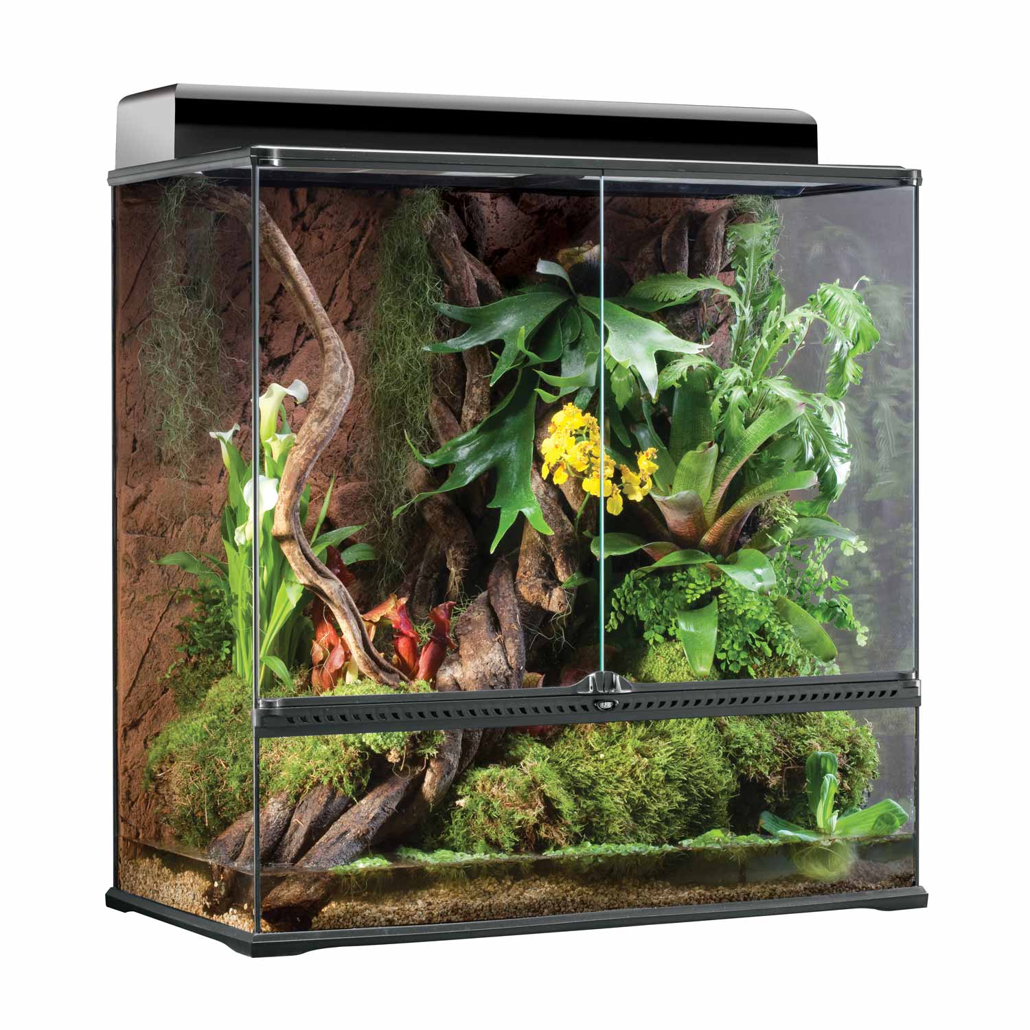 Leeg de prullenbak tijdelijk hoe Exo-Terra High Glass Terrarium, 36" L X 18" W X 36" H | Petco