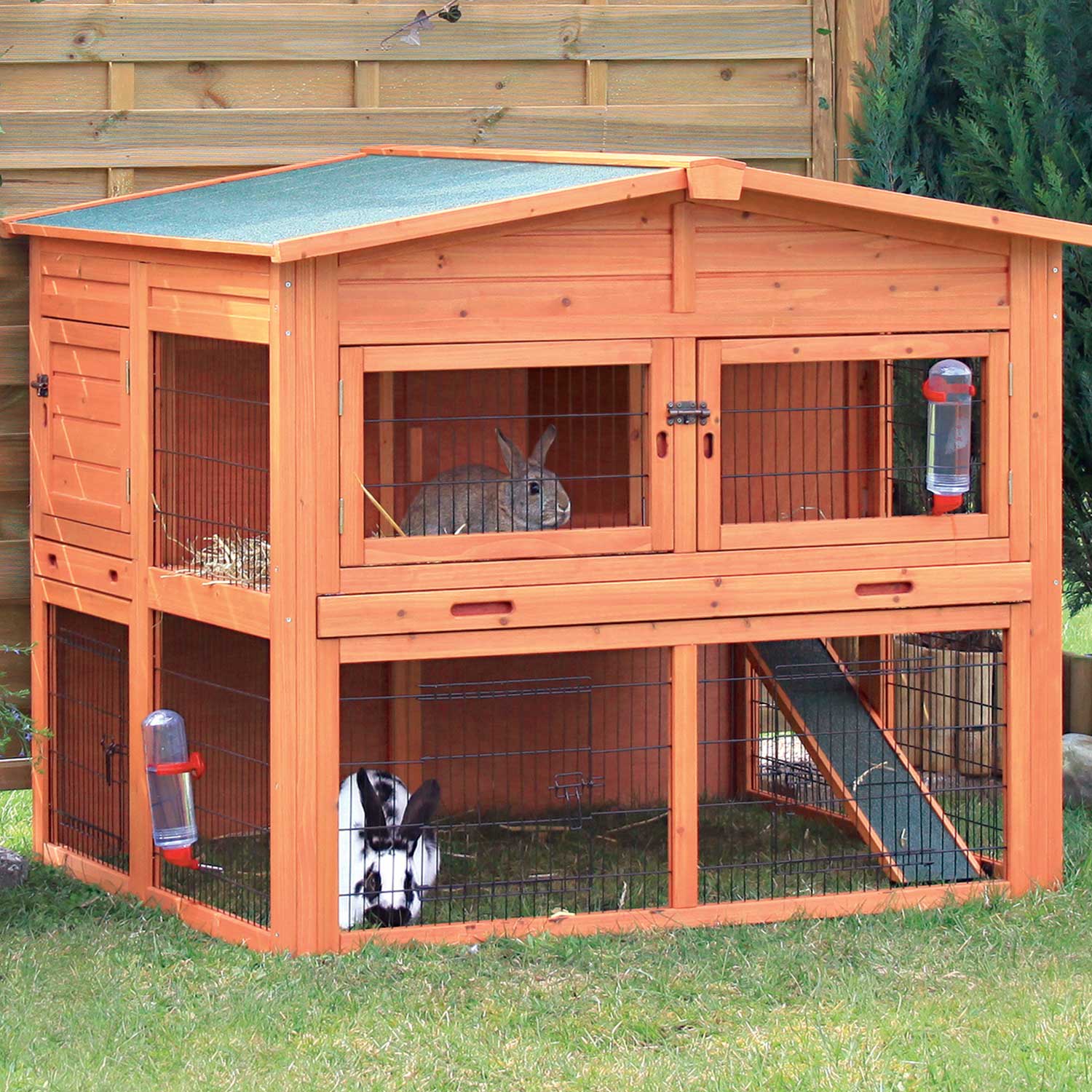 Outdoor rabbit clearance hutch set up