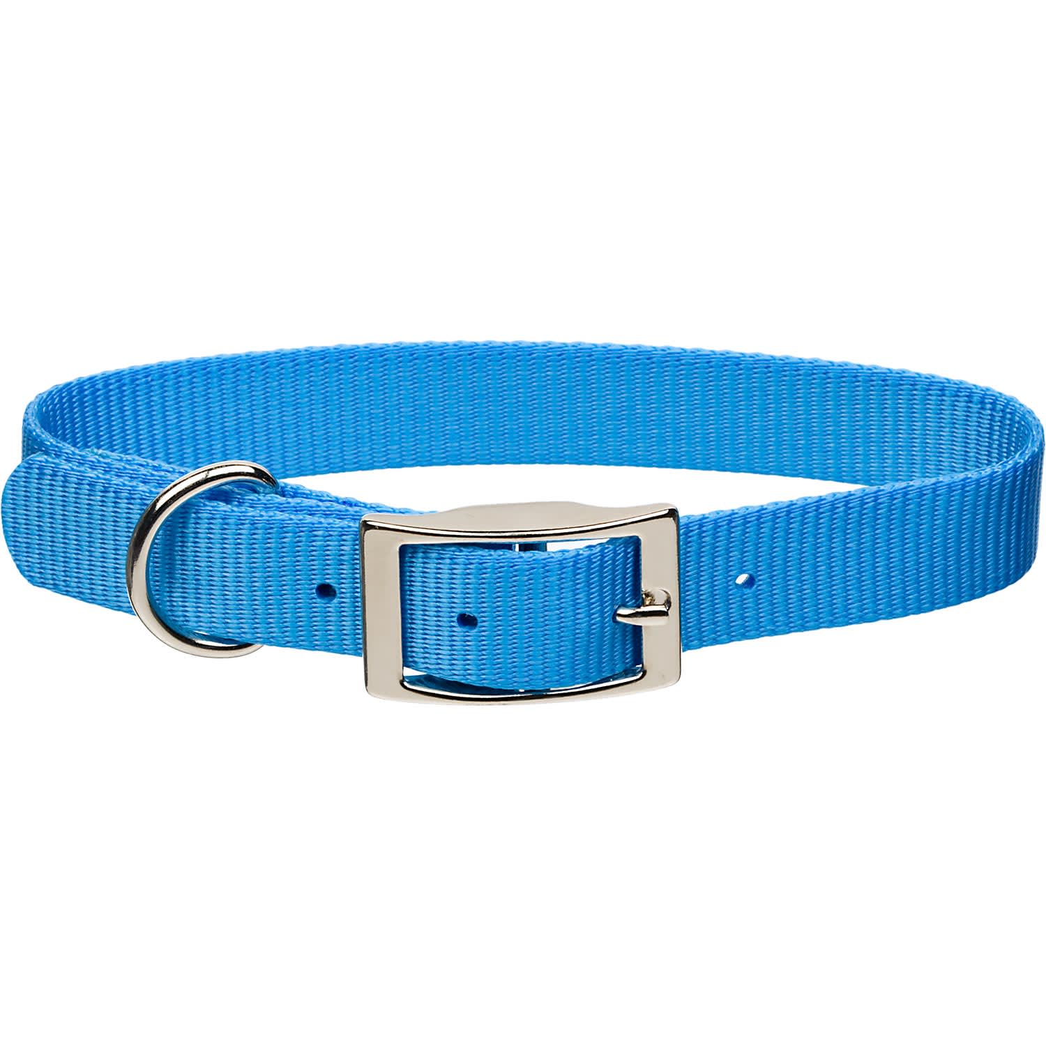 Coastal Pet Metal Buckle Nylon Personalized Dog Collar in Light Blue, 5/8 Width