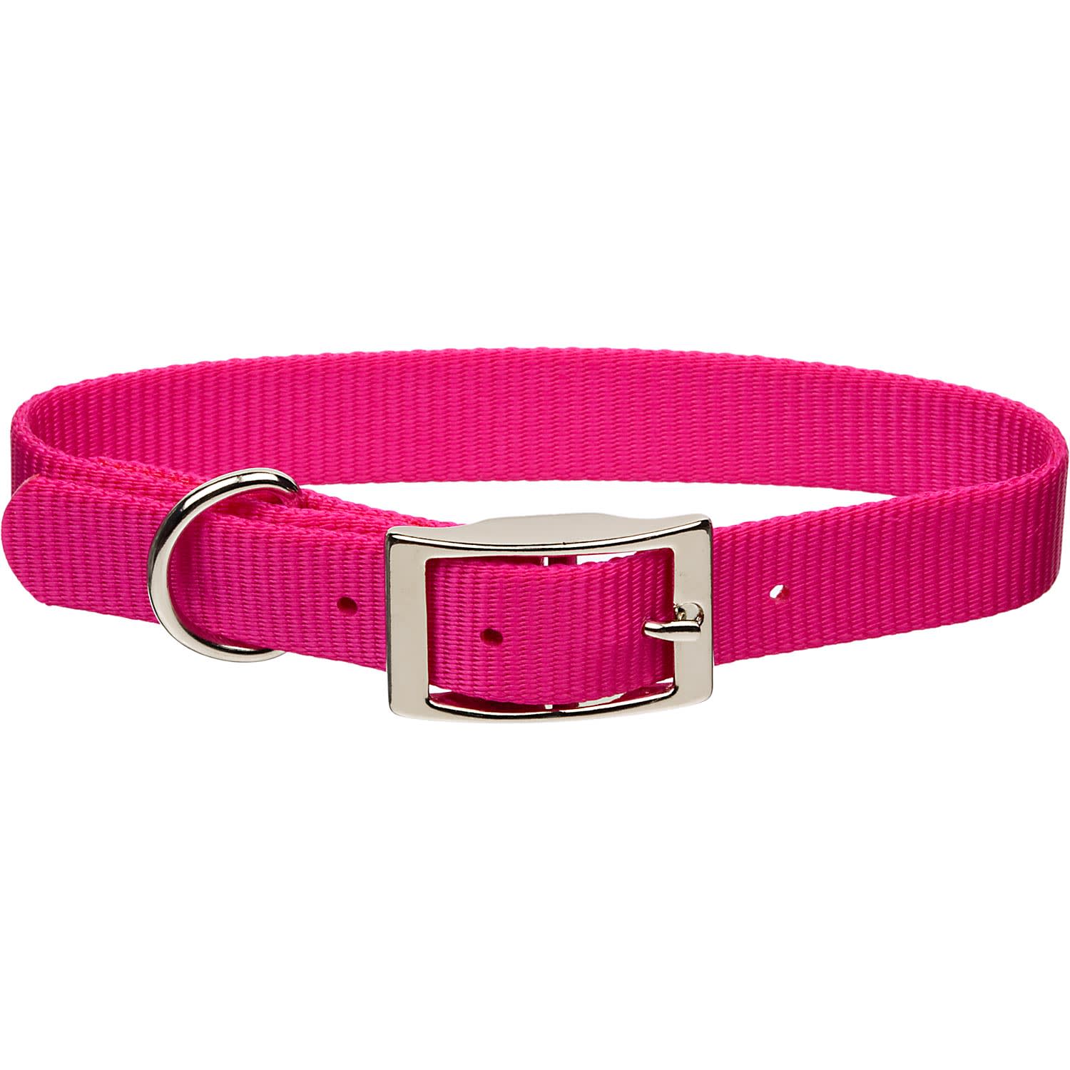 Coastal Pet Metal Buckle Nylon Personalized Dog Collar in Bright Pink, 1 Width