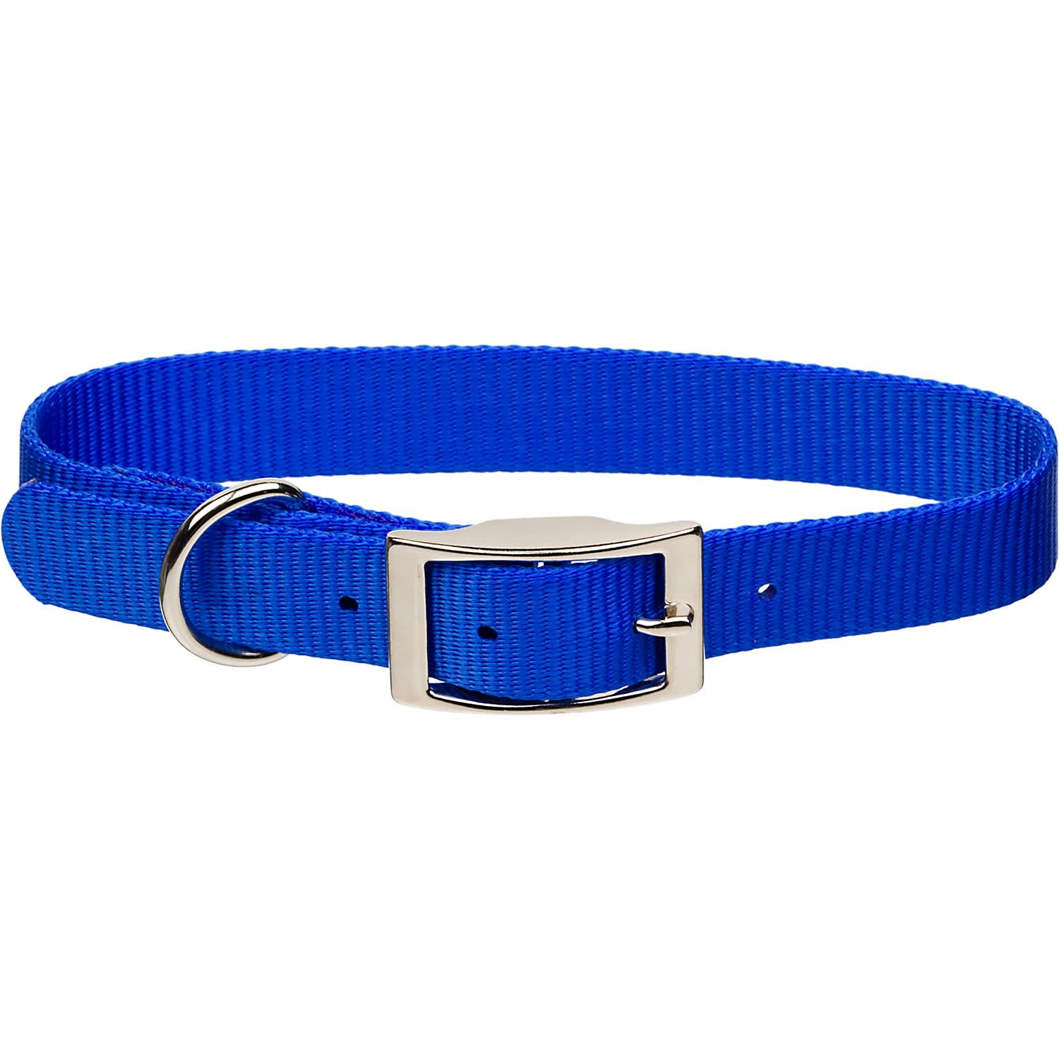 Coastal Pet Single Ply Jewel Tone Personalized Dog Collar Blue Medium 5 8 x 14 16