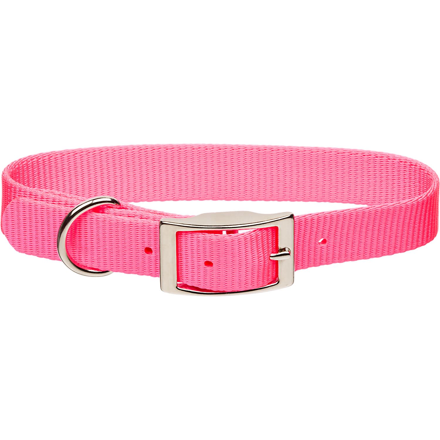 Neon pink sale collar