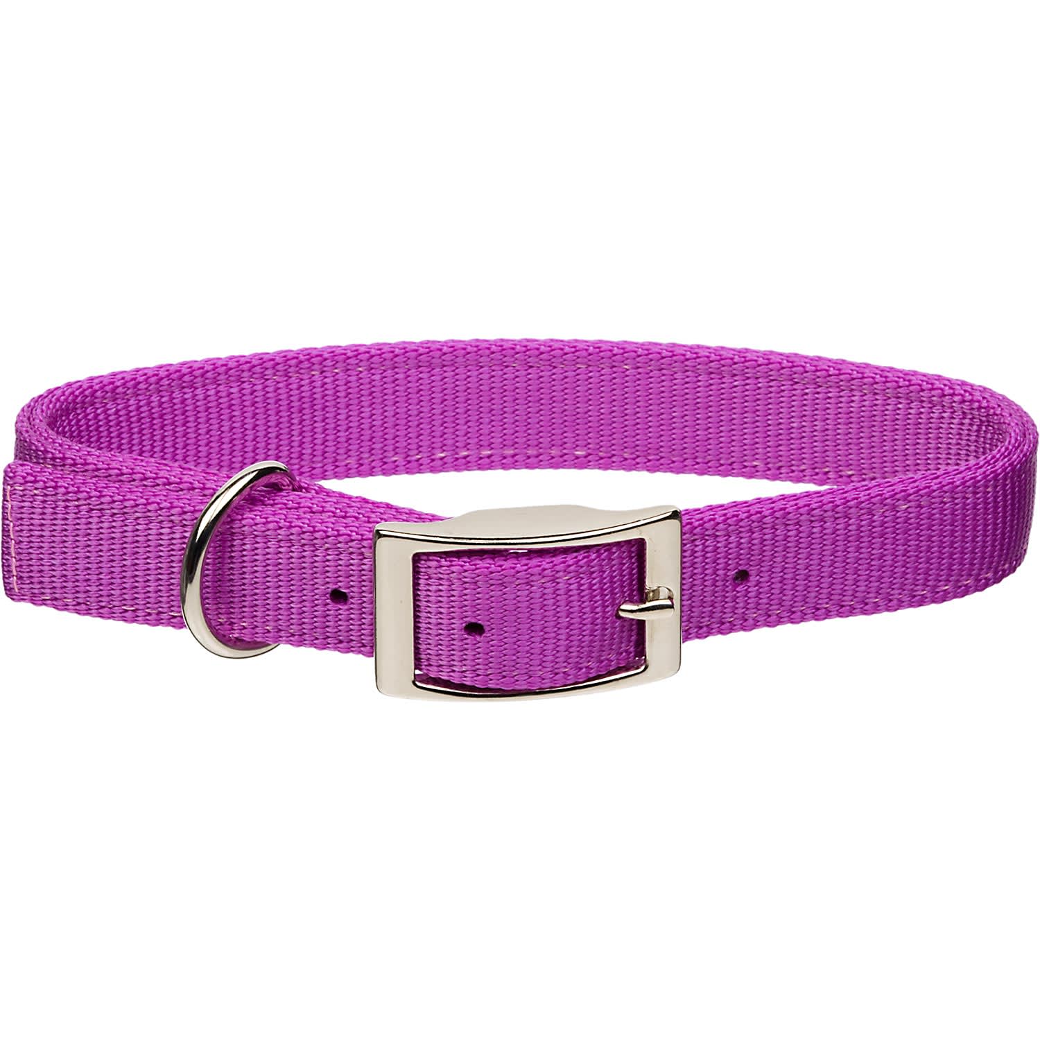 Kong ez soft collar hot sale petco