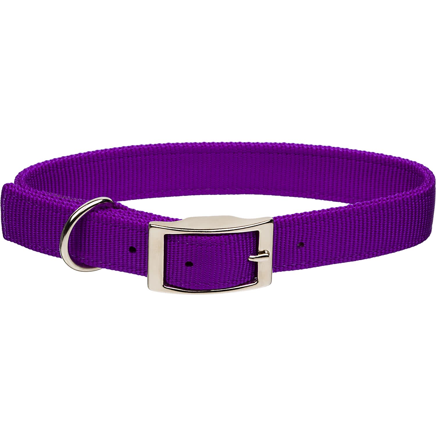 Purple Dog Collar Puppy Small XS Tiny Strong Clip Male Female Girl Nylon  Cute UK