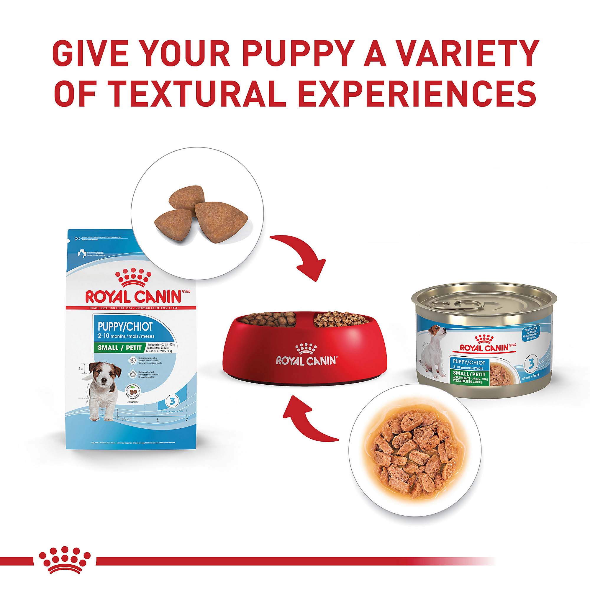 Royal Canin Small Puppy Dry Food 2.5 lbs. Petco