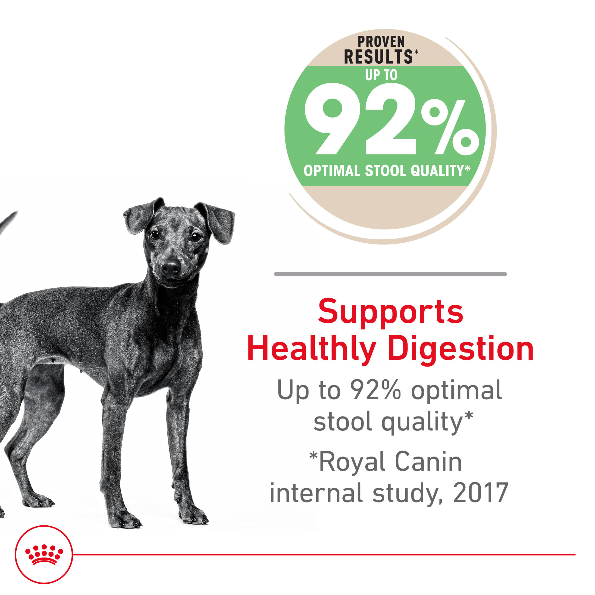 royal canin mini special