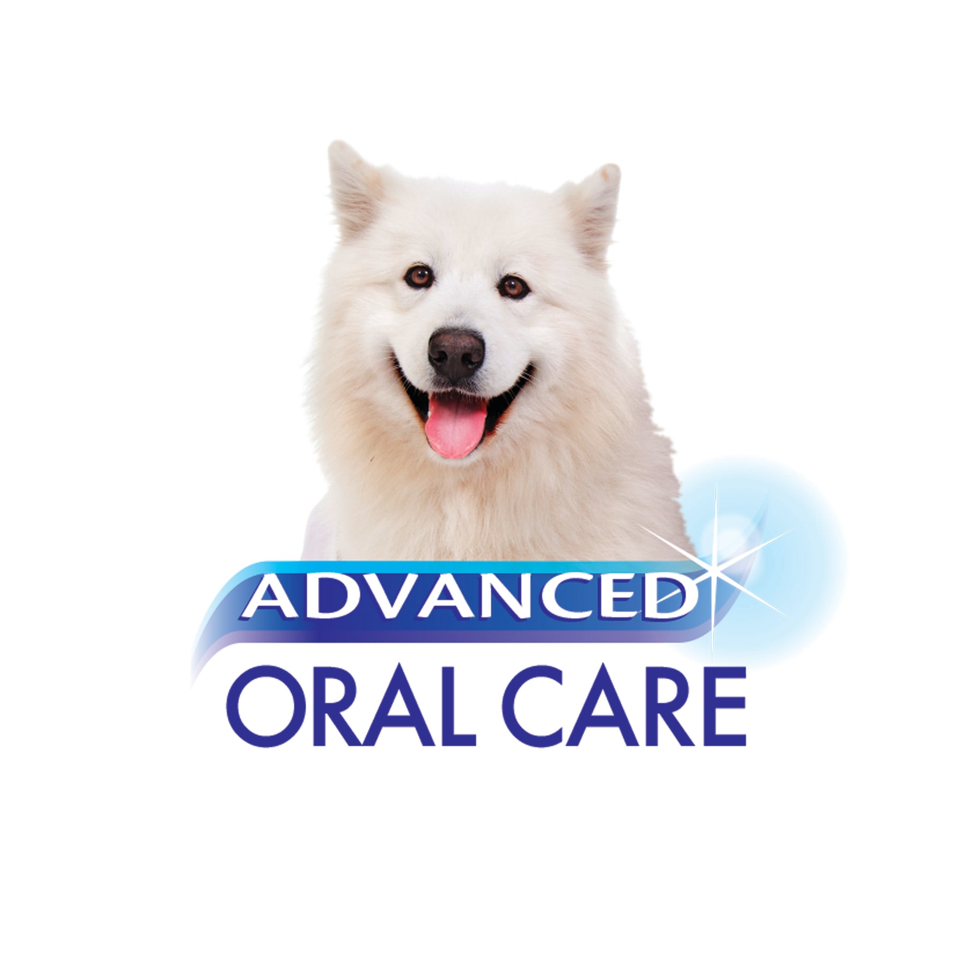 Nylabone advanced oral care liquid tartar remover for outlet dogs