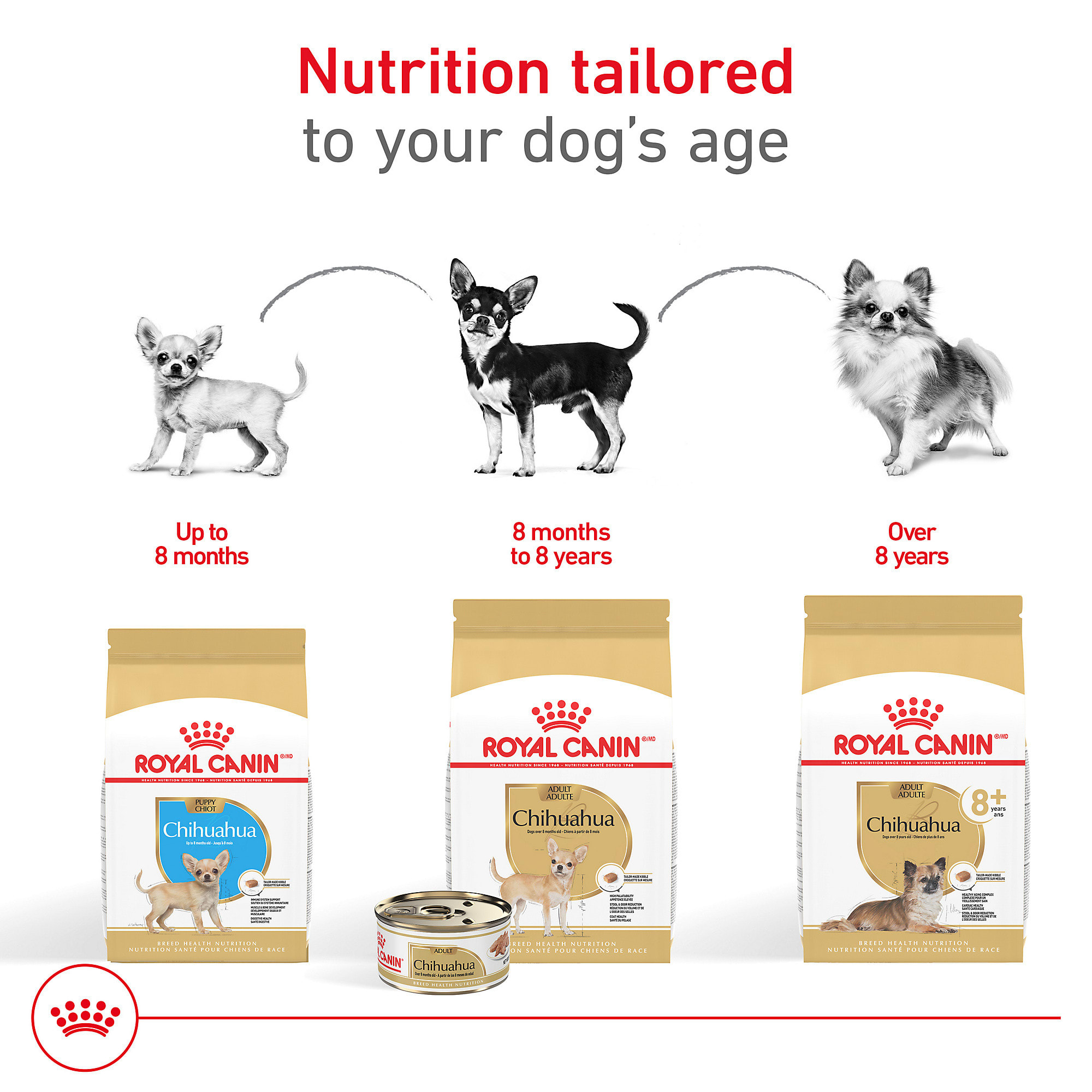 Royal Canin Chihuahua Puppy Feeding Guide Happypets Royal Canin