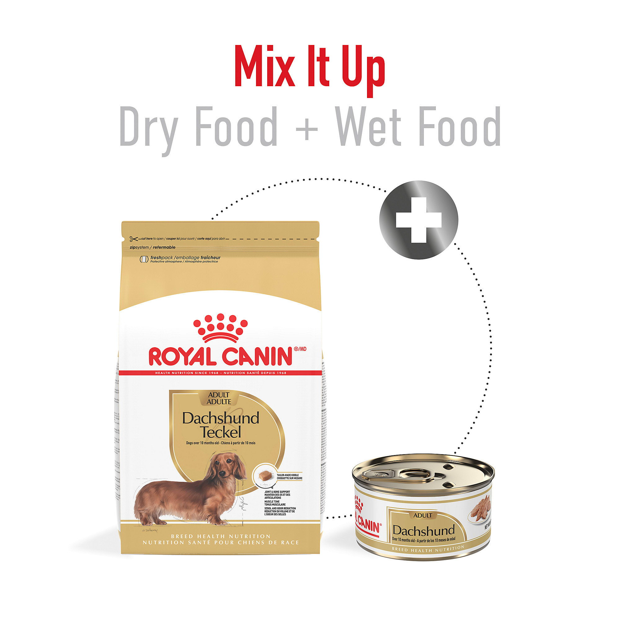  CANIN Dachshund ドライフード　12Kg Royal Canin Dachshund Adult Dry Dog Food, 10 lbs. | Petco
